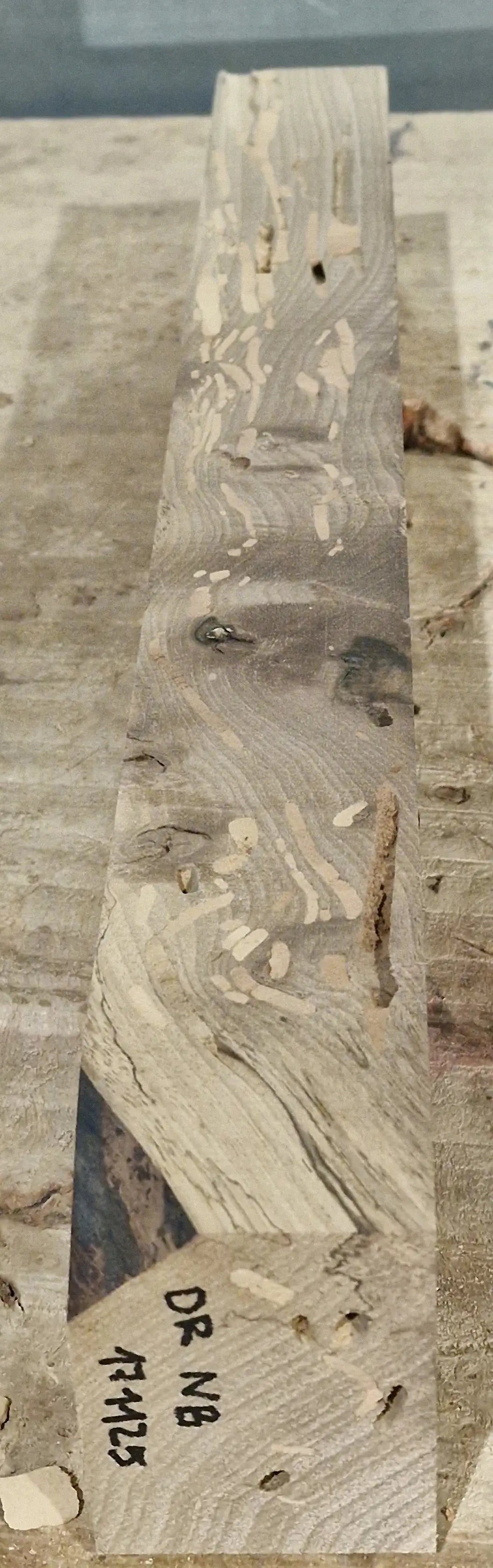 Drechselholz Nussbaum 171125