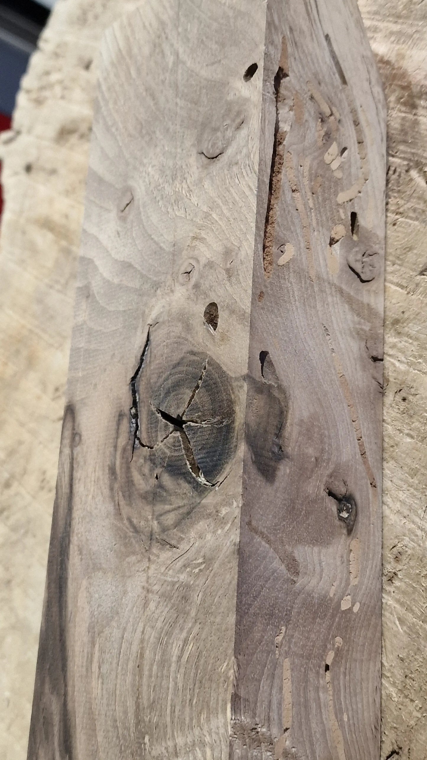 Drechselholz Nussbaum 171125