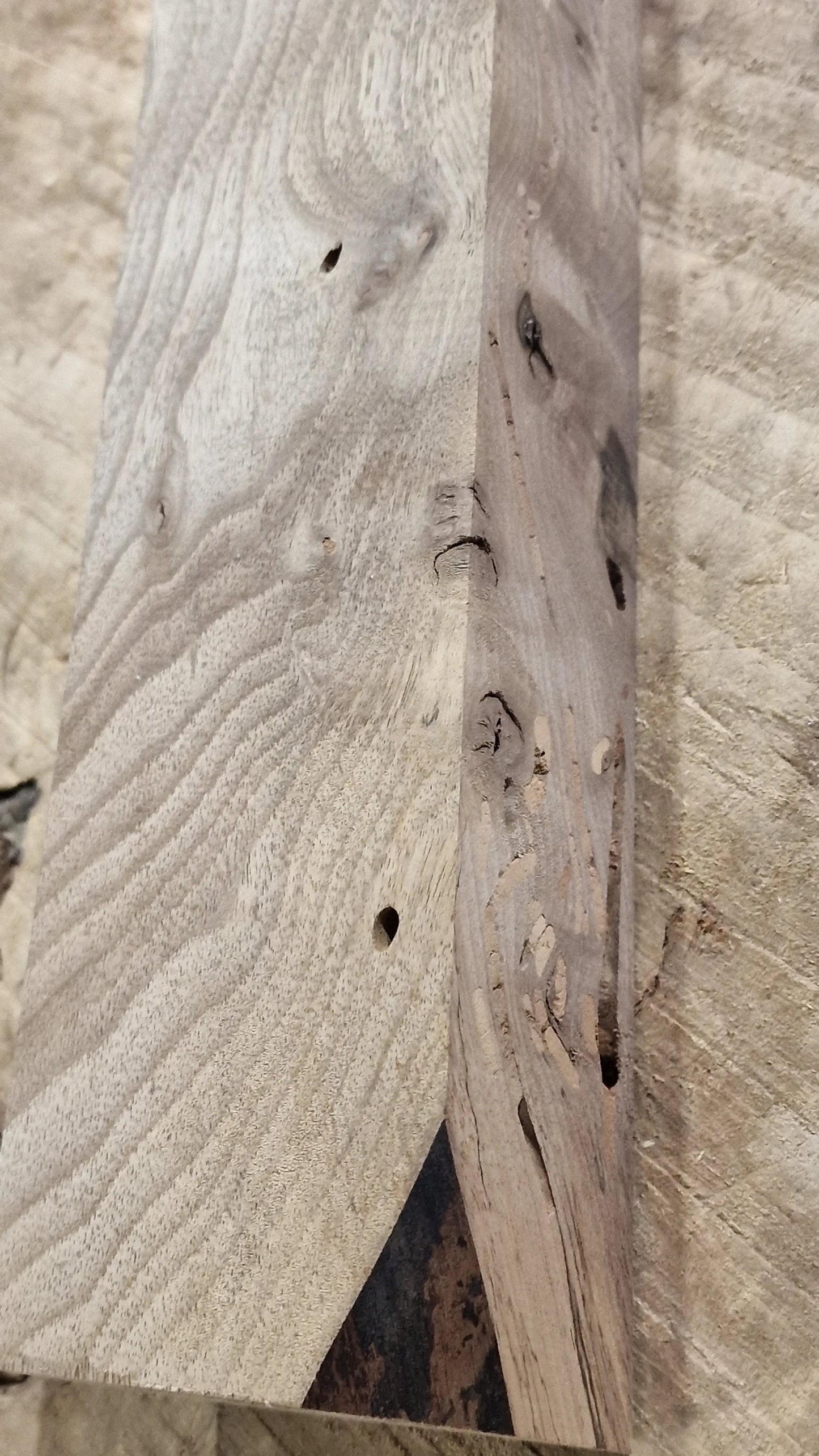 Drechselholz Nussbaum 171125