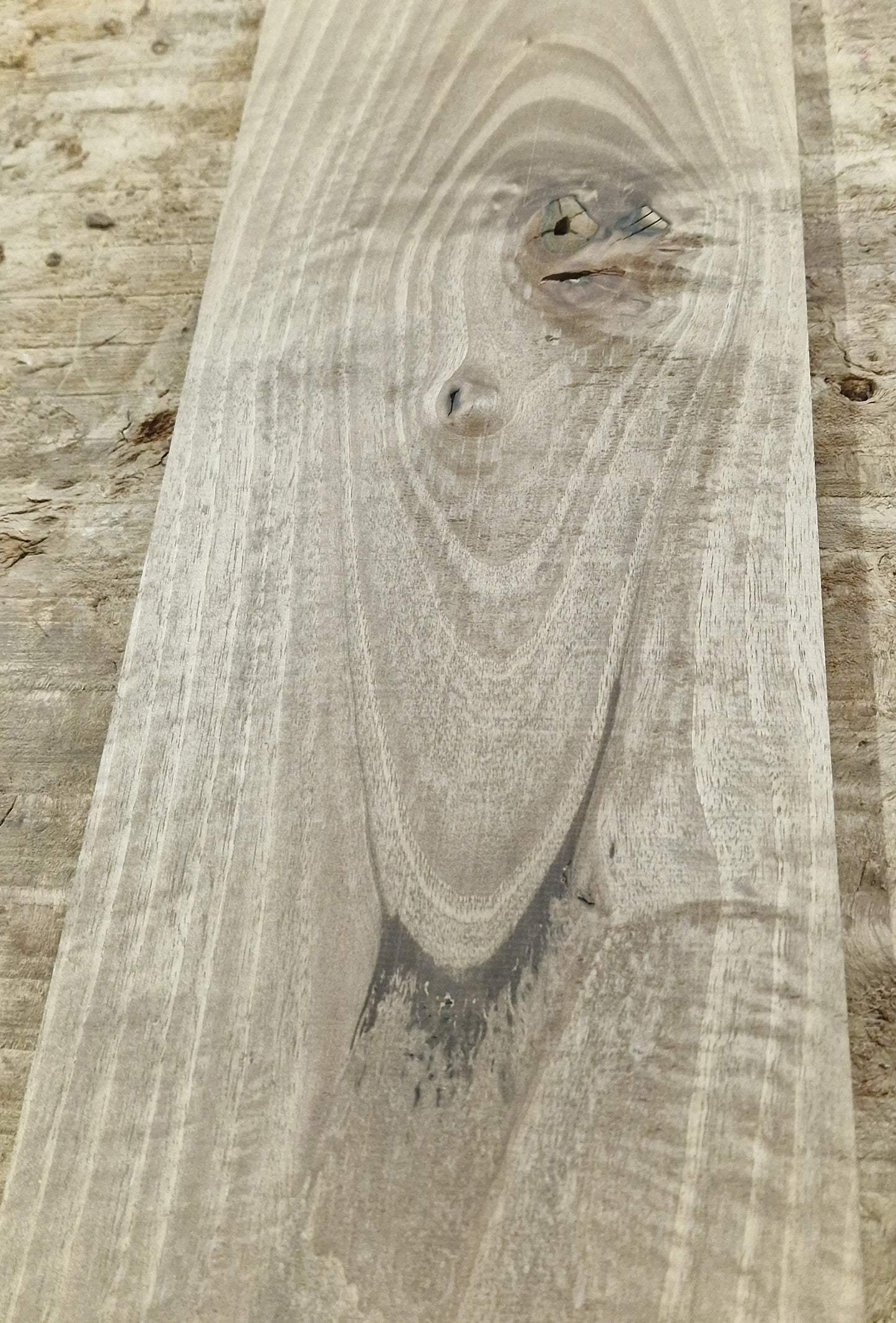 Drechselholz Nussbaum 251122