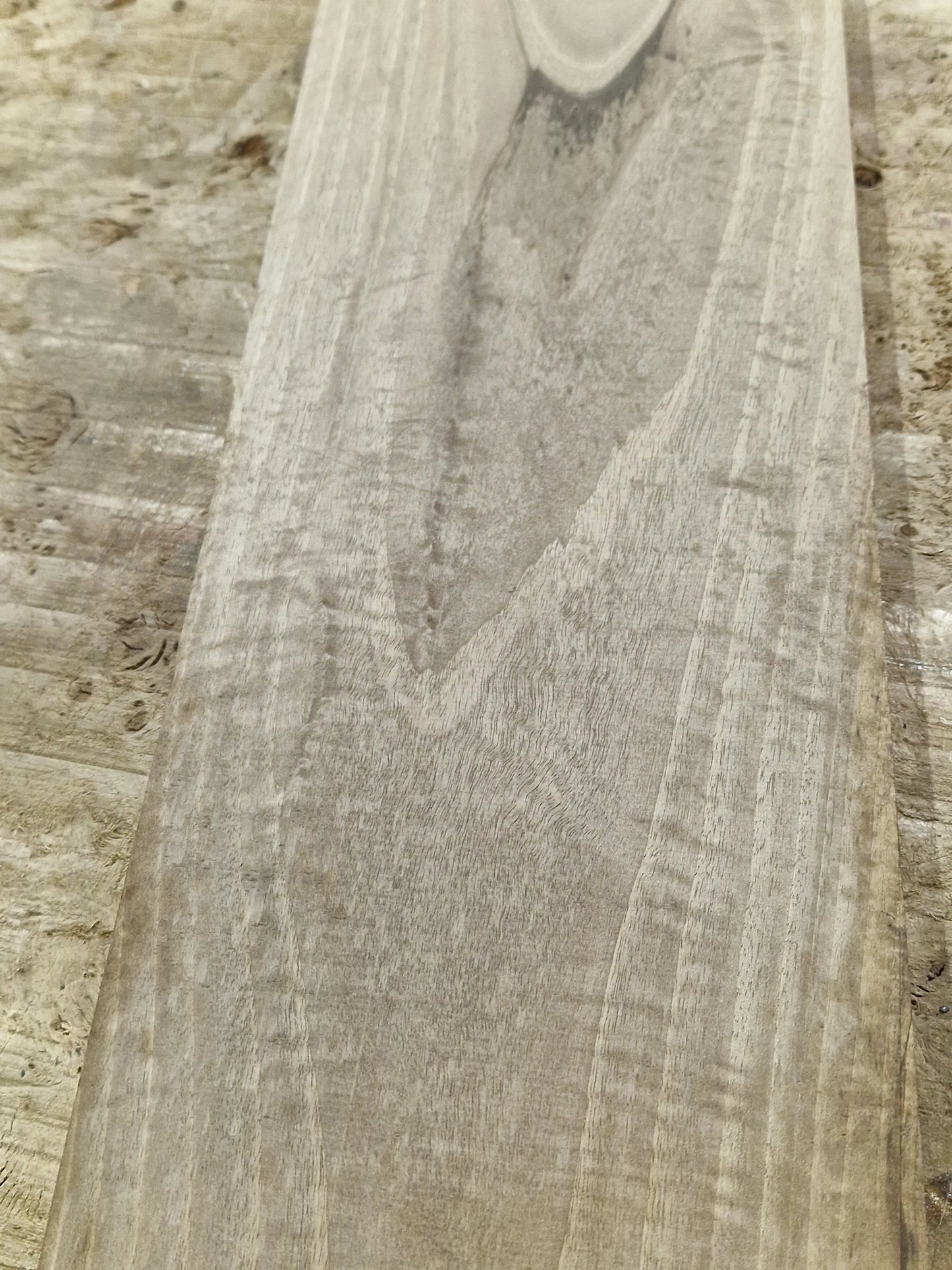 Drechselholz Nussbaum 251122
