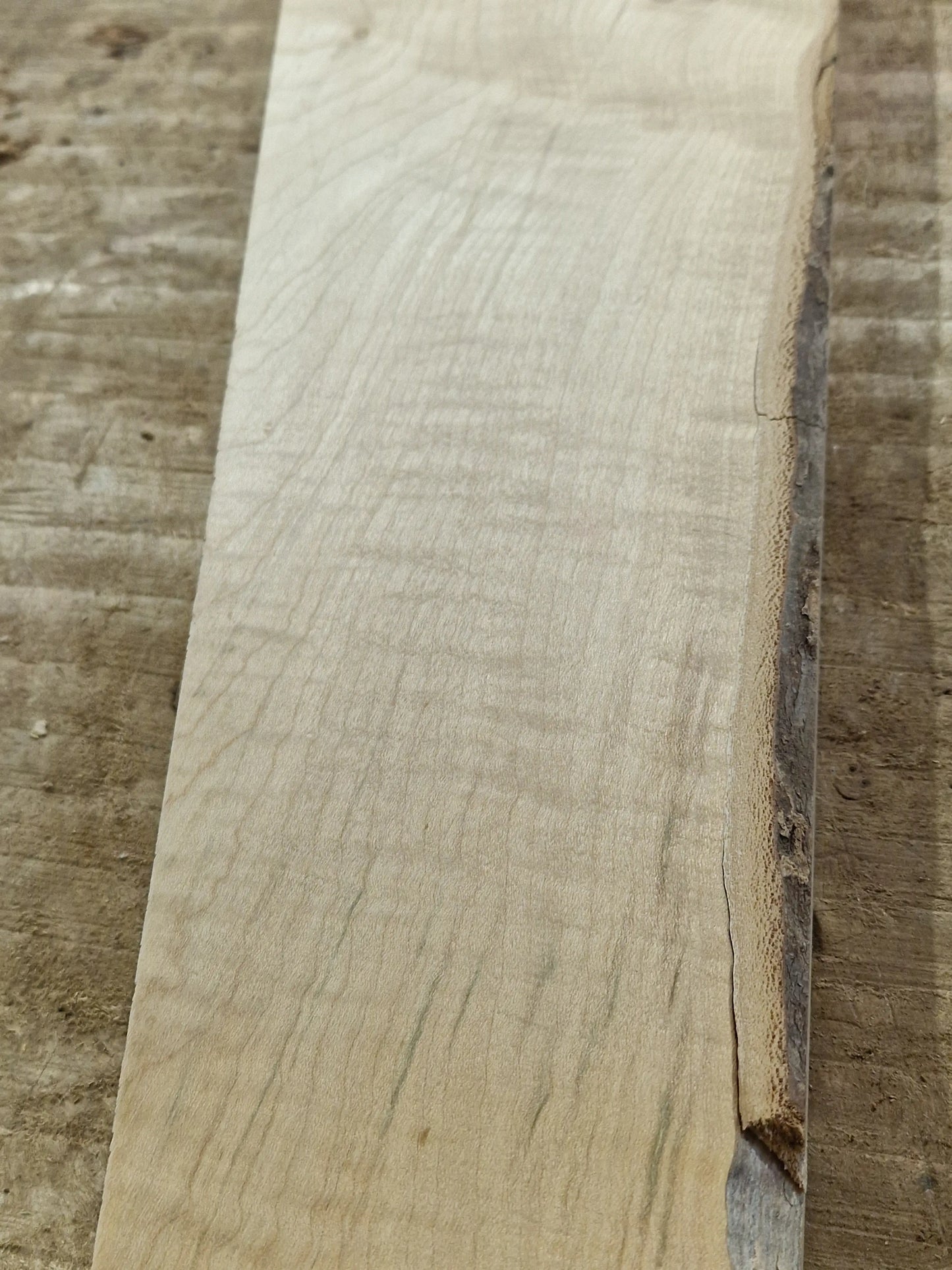 Drechselholz Riegelahorn 030125