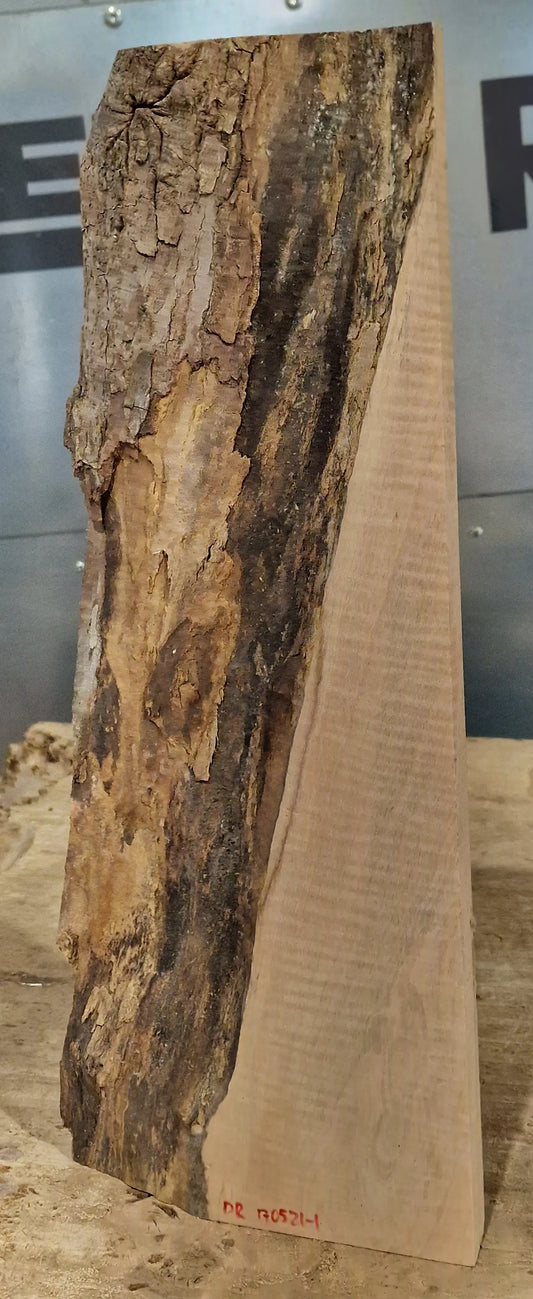 Drechselholz Riegelahorn 170521-1