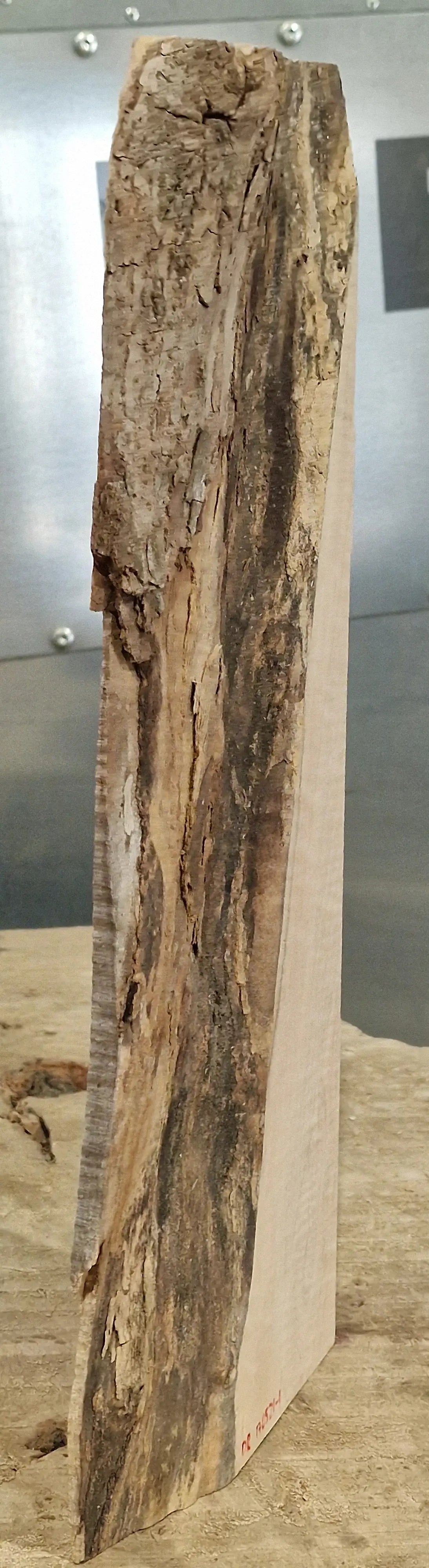 Drechselholz Riegelahorn 170521-1