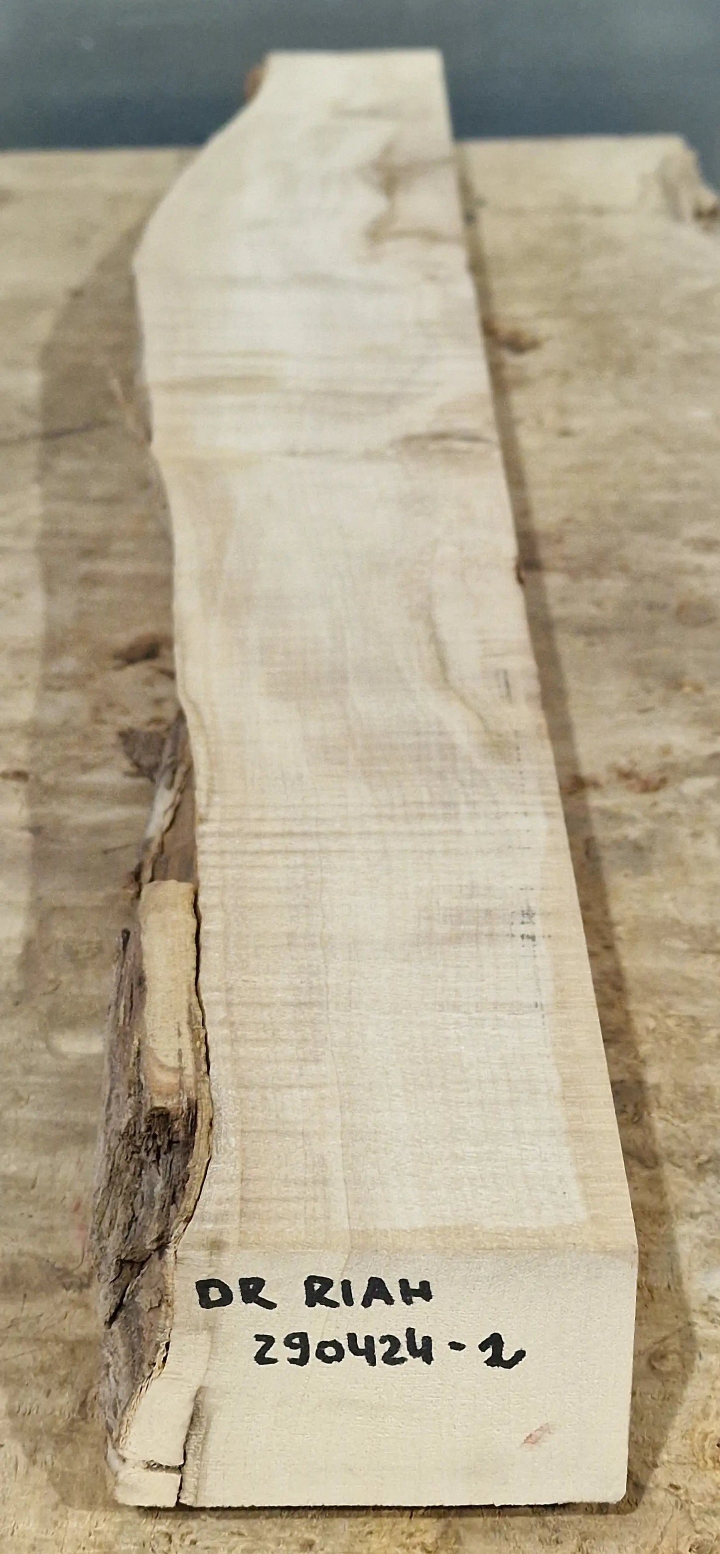 Drechselholz Riegelahorn 290424-2