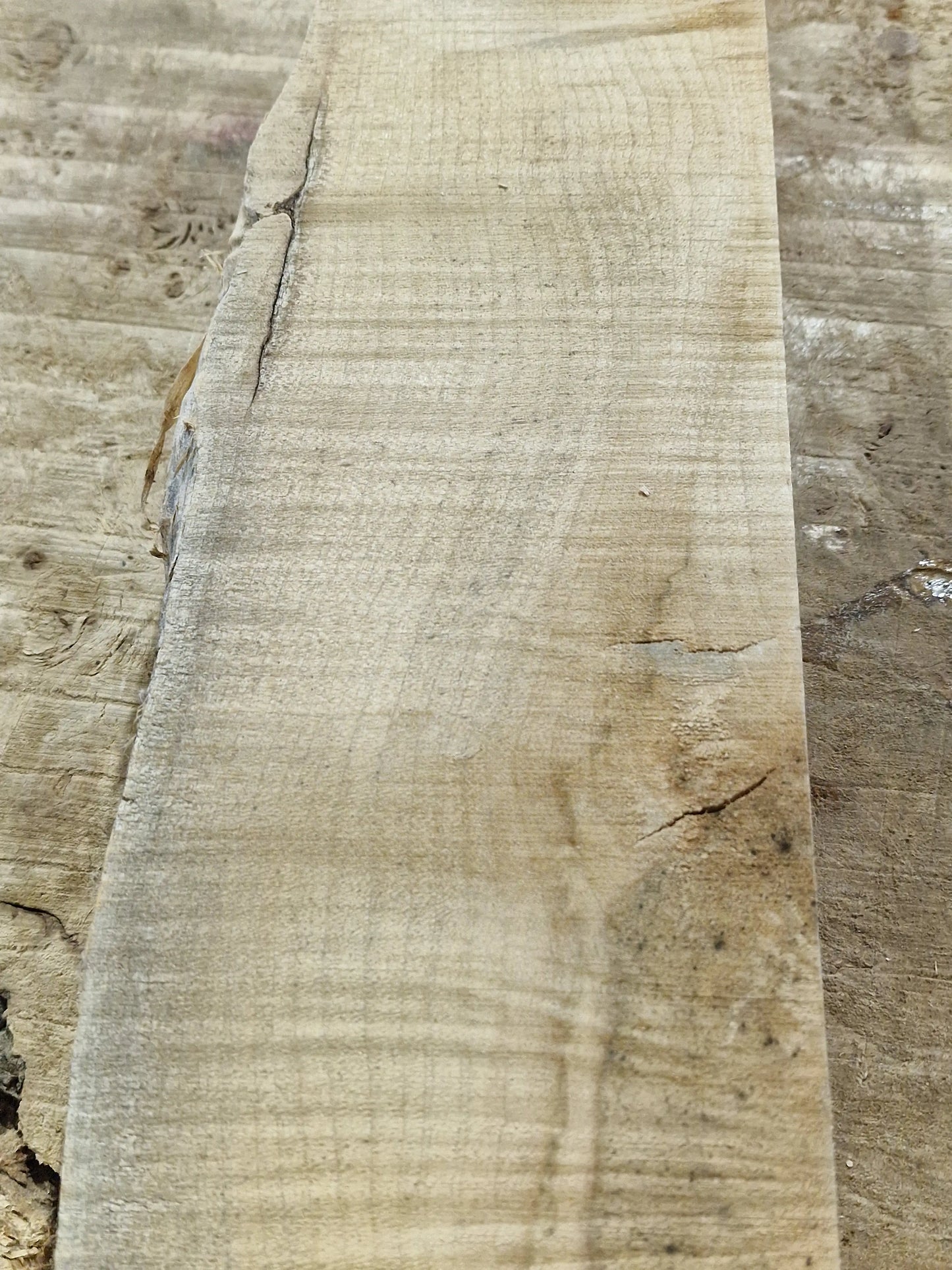 Drechselholz Riegelahorn 290424-2