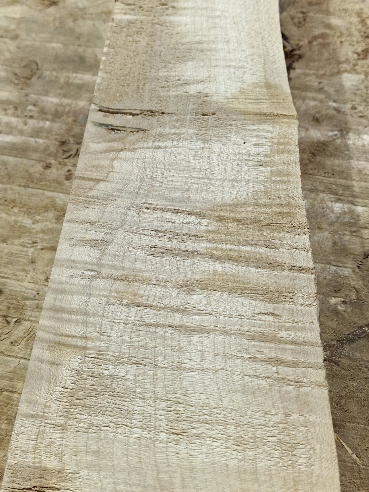 Drechselholz Riegelahorn 290424-2