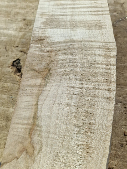 Drechselholz Riegelahorn 290424-2