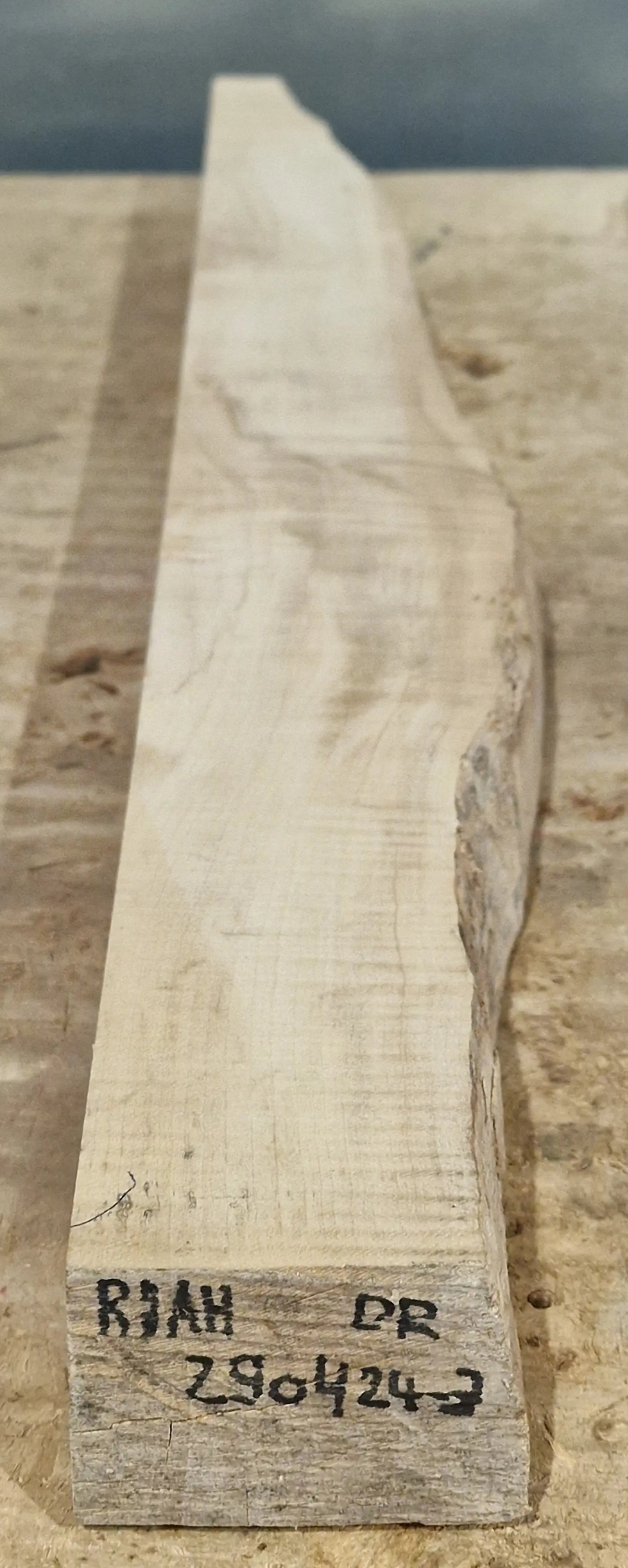 Drechselholz Riegelahorn 290424-3