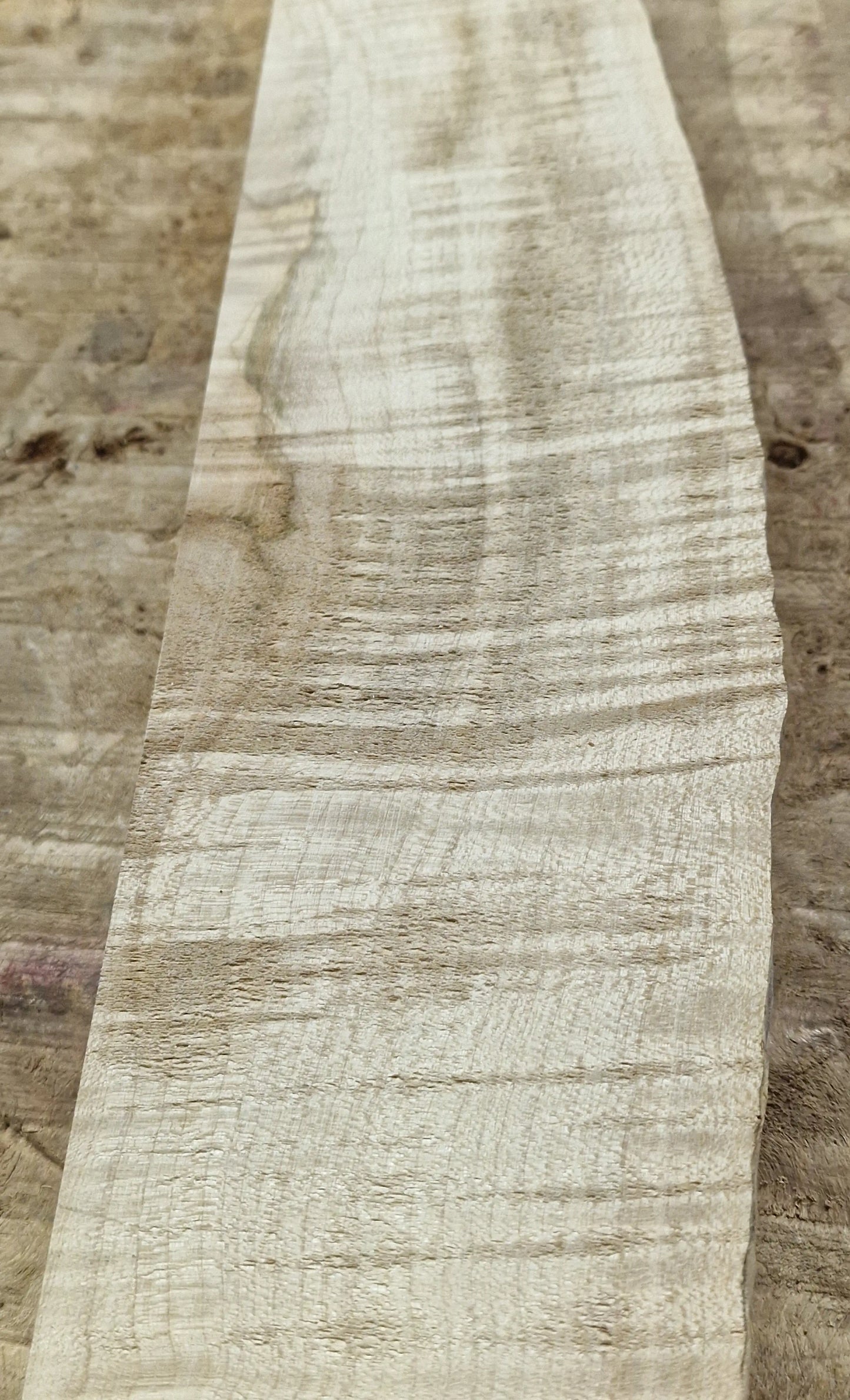 Drechselholz Riegelahorn 290424-3