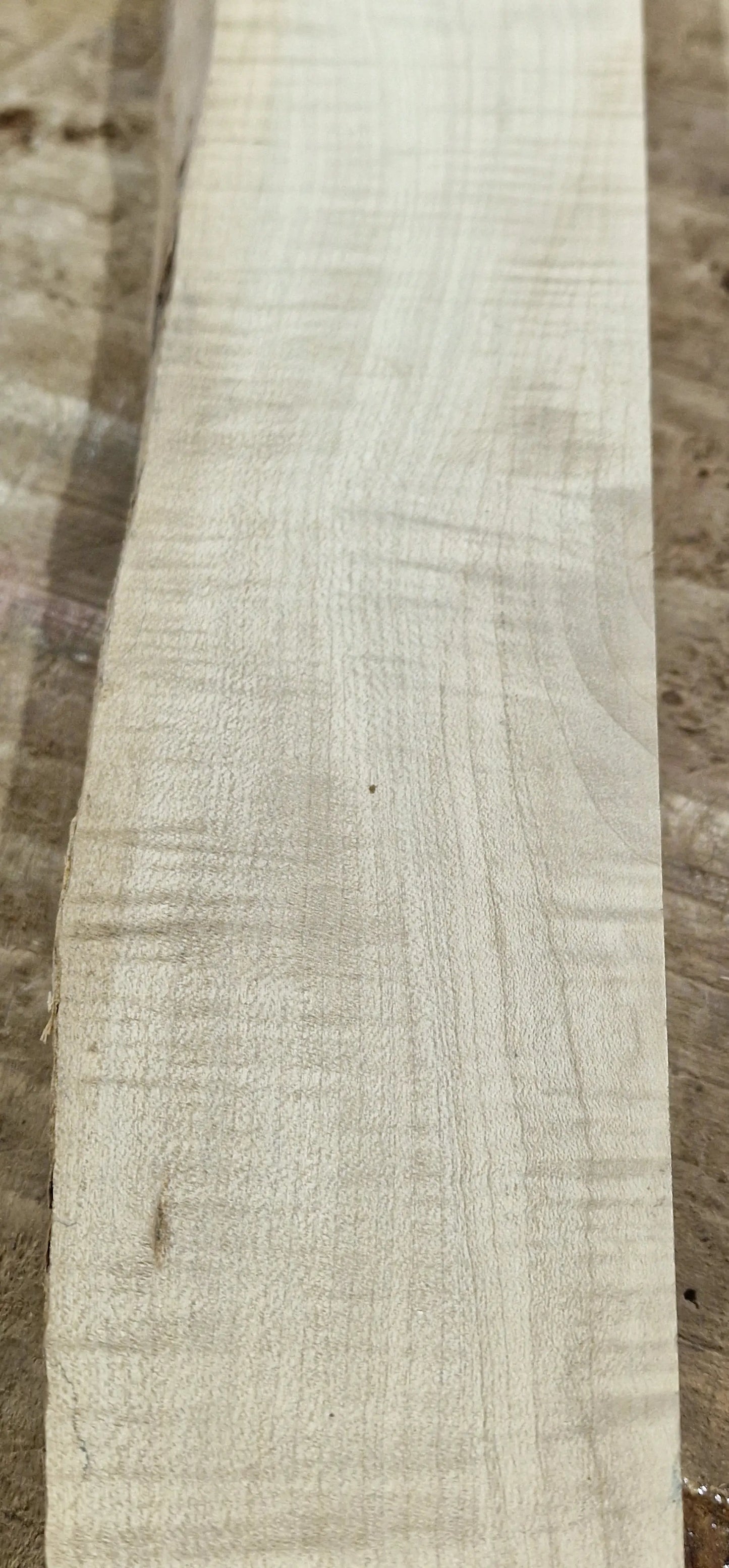 Drechselholz Riegelahorn 290424-3