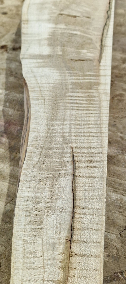 Drechselholz Riegelahorn 290424-4