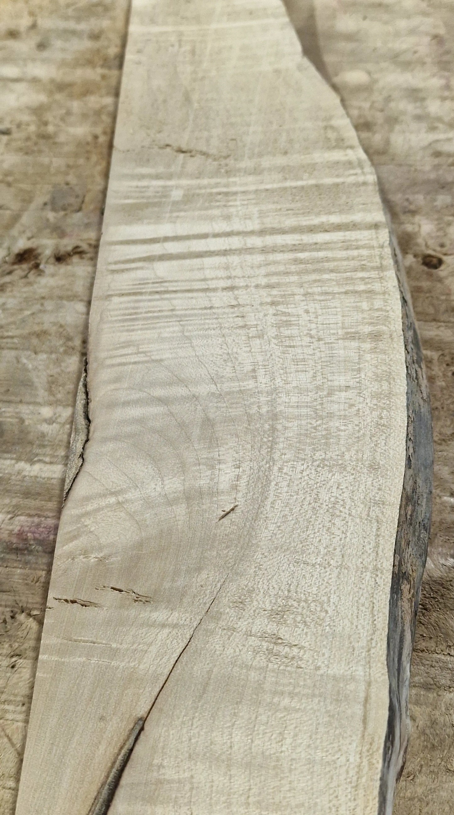 Drechselholz Riegelahorn 290424-4