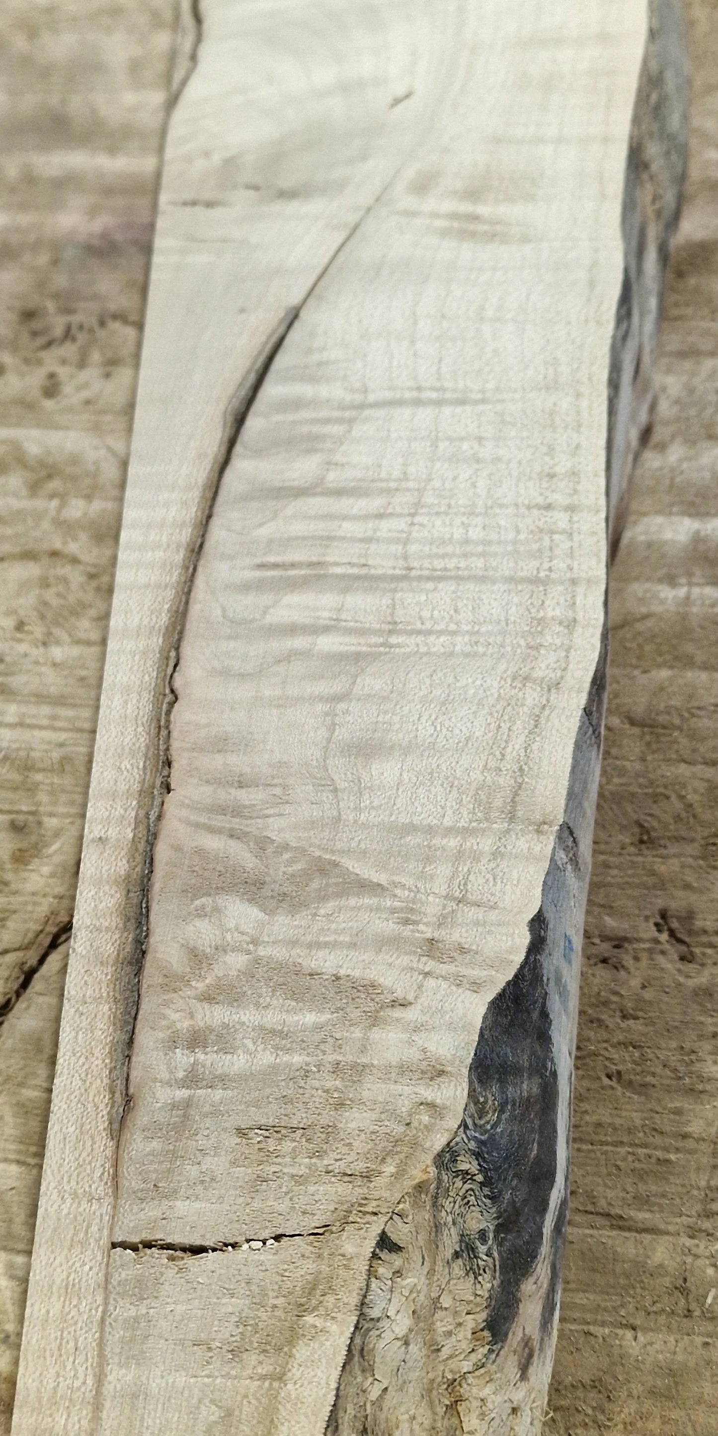 Drechselholz Riegelahorn 290424-4