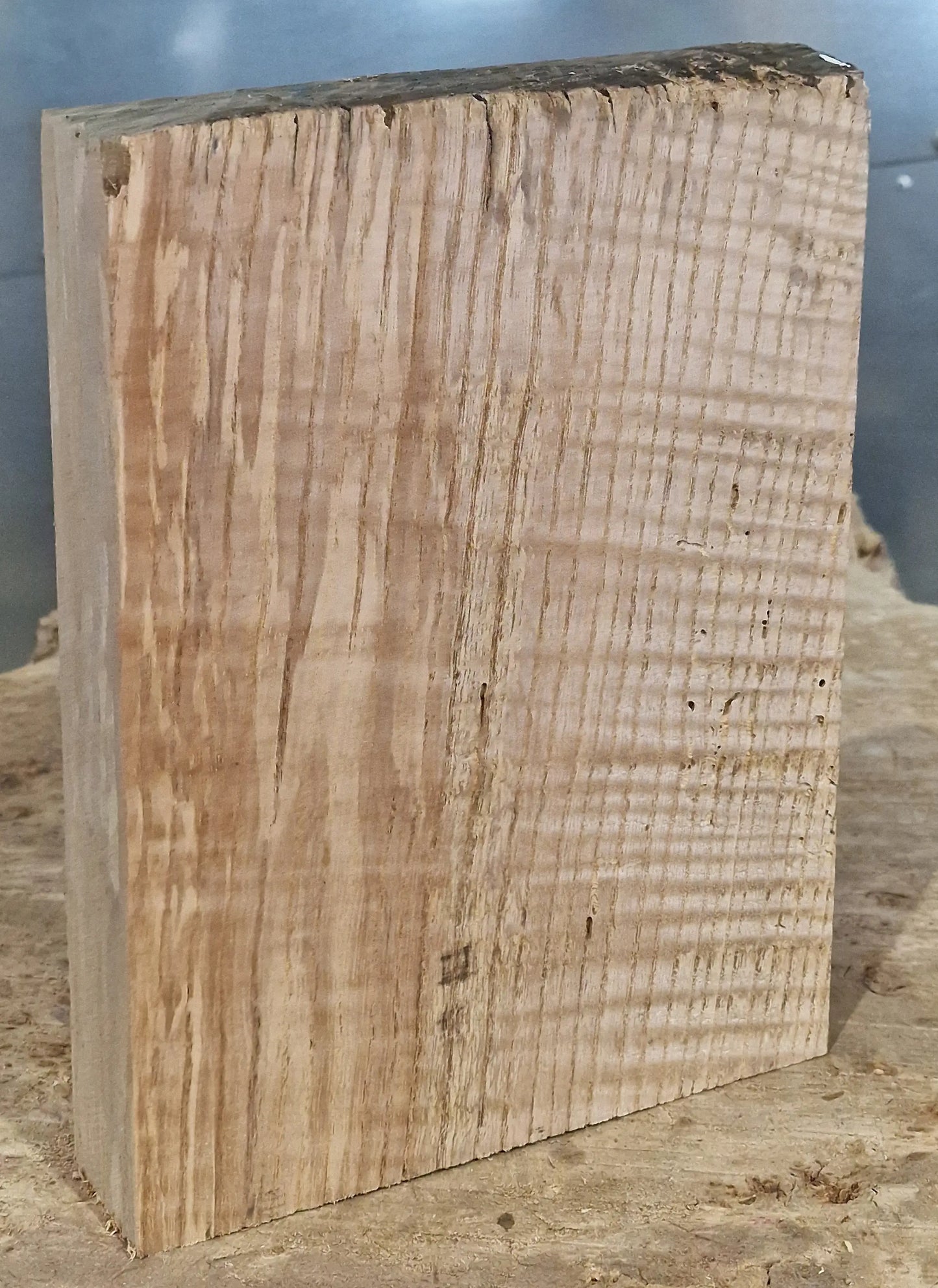 Drechselholz Riegelesche 290424