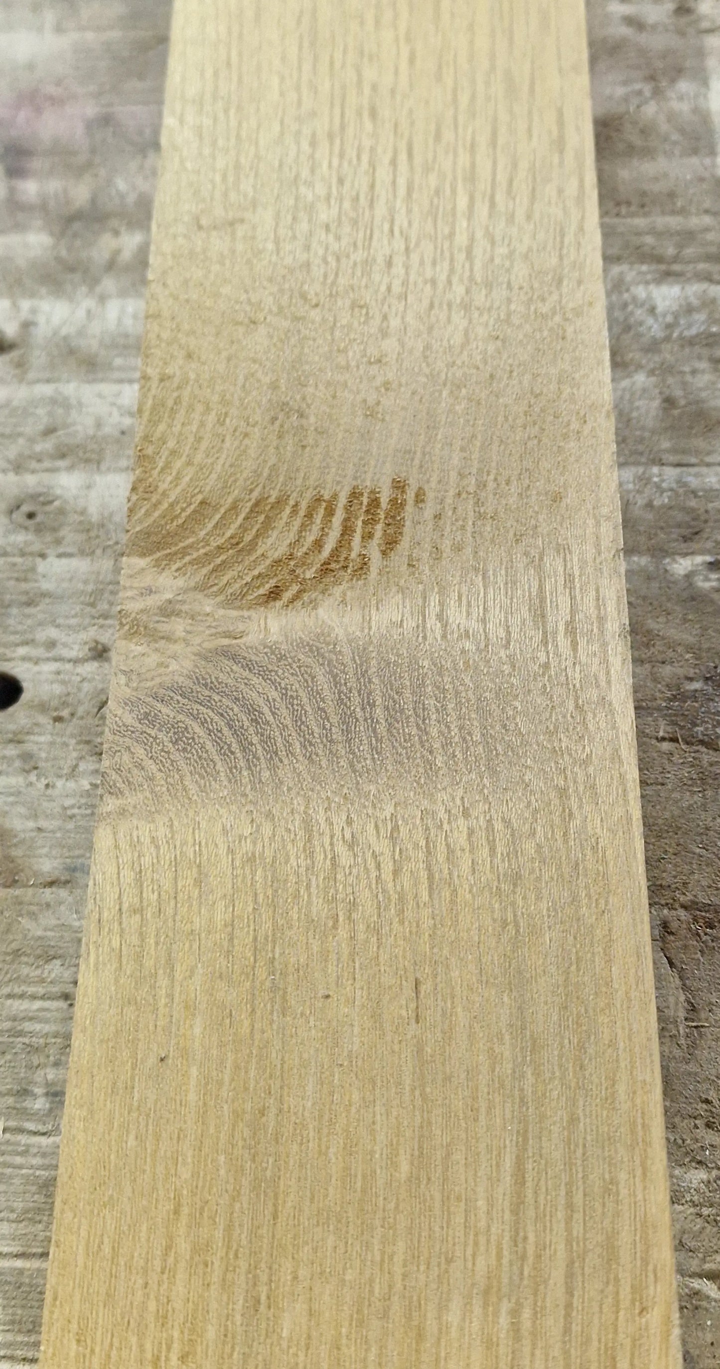 Drechselholz Robinie 080523