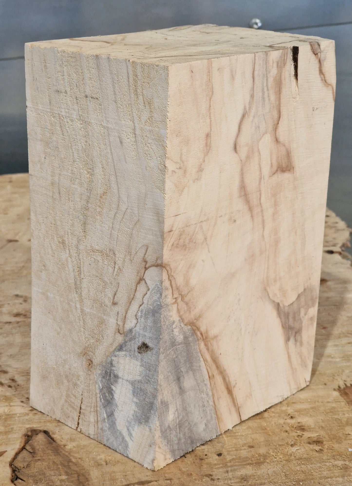 Drechselholz Weide 010925