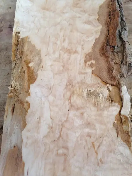Drechselholz Quilted Maple Hardmaple 100726-1