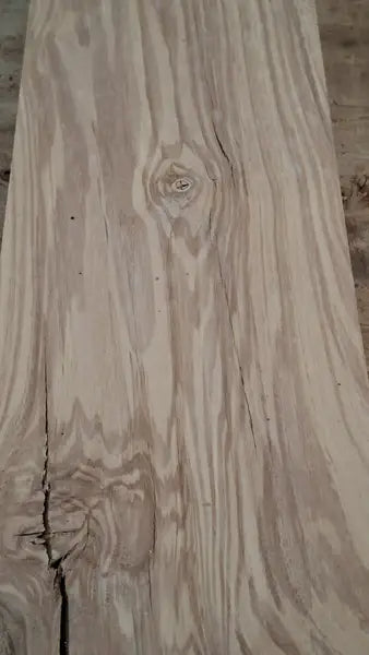 Drechselholz Esche 070926-2