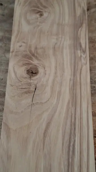 Drechselholz Esche 070926-2