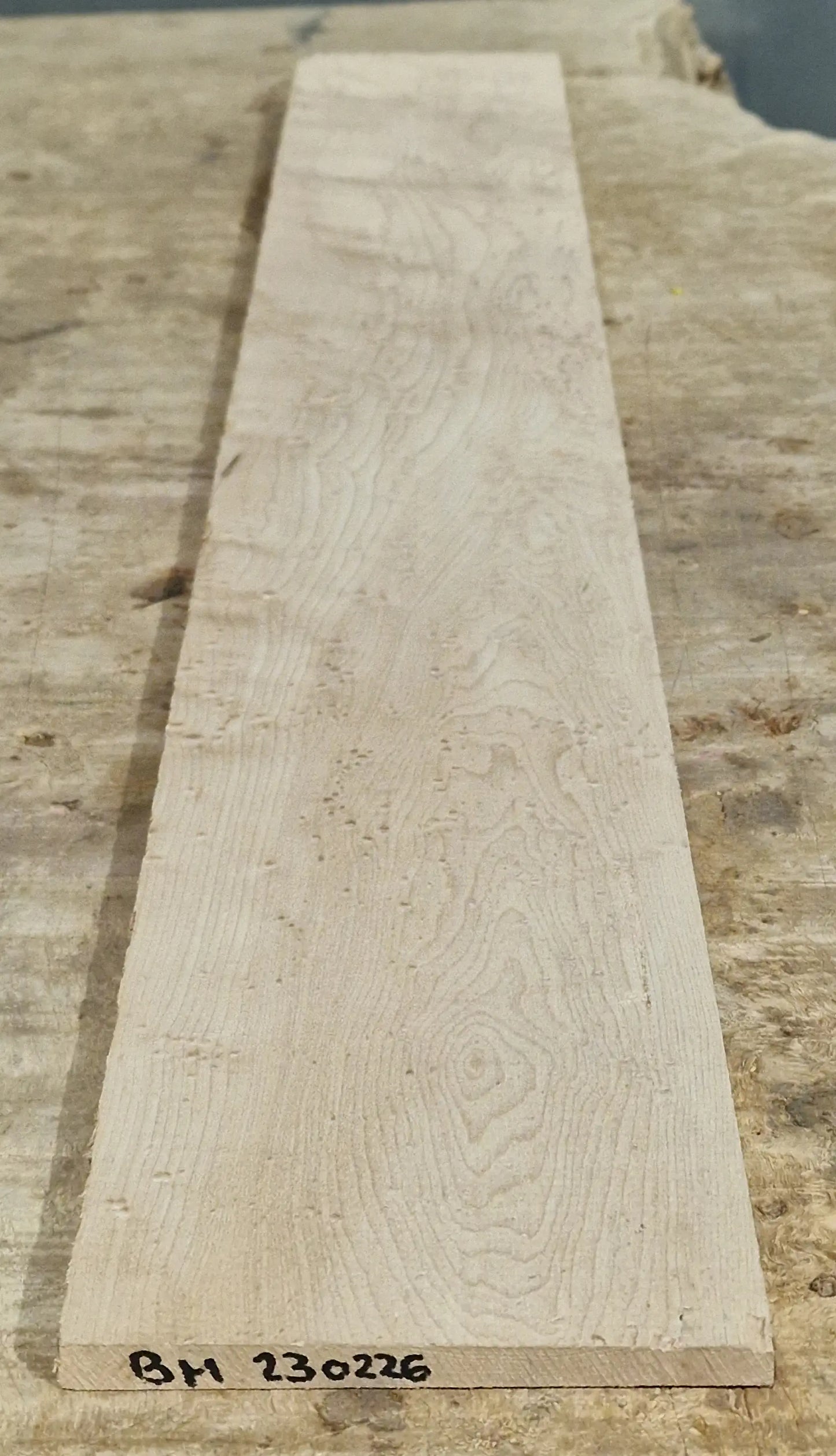 Griffbrett Birds Eye Maple 230226