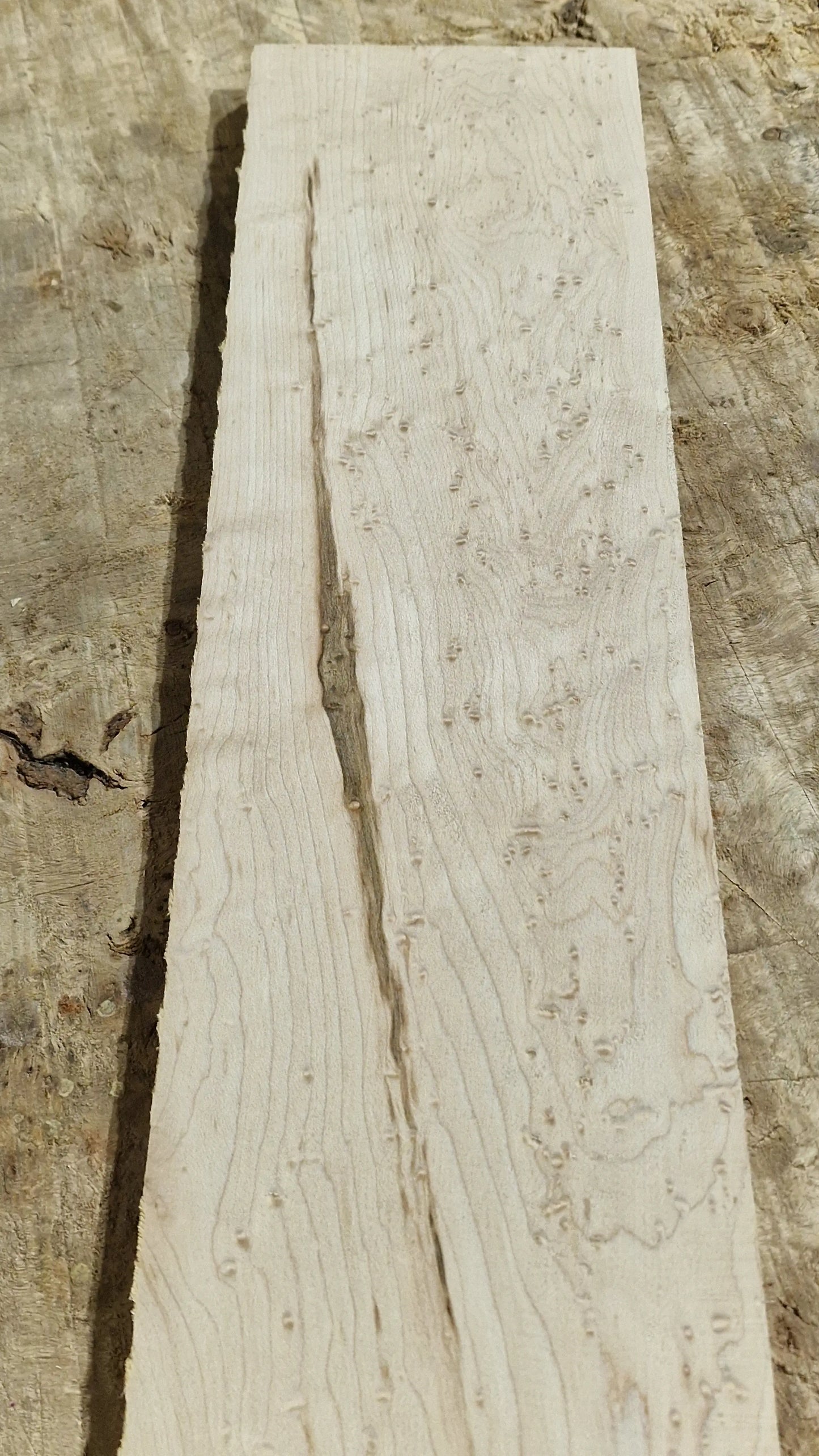 Griffbrett Birds Eye Maple 230226