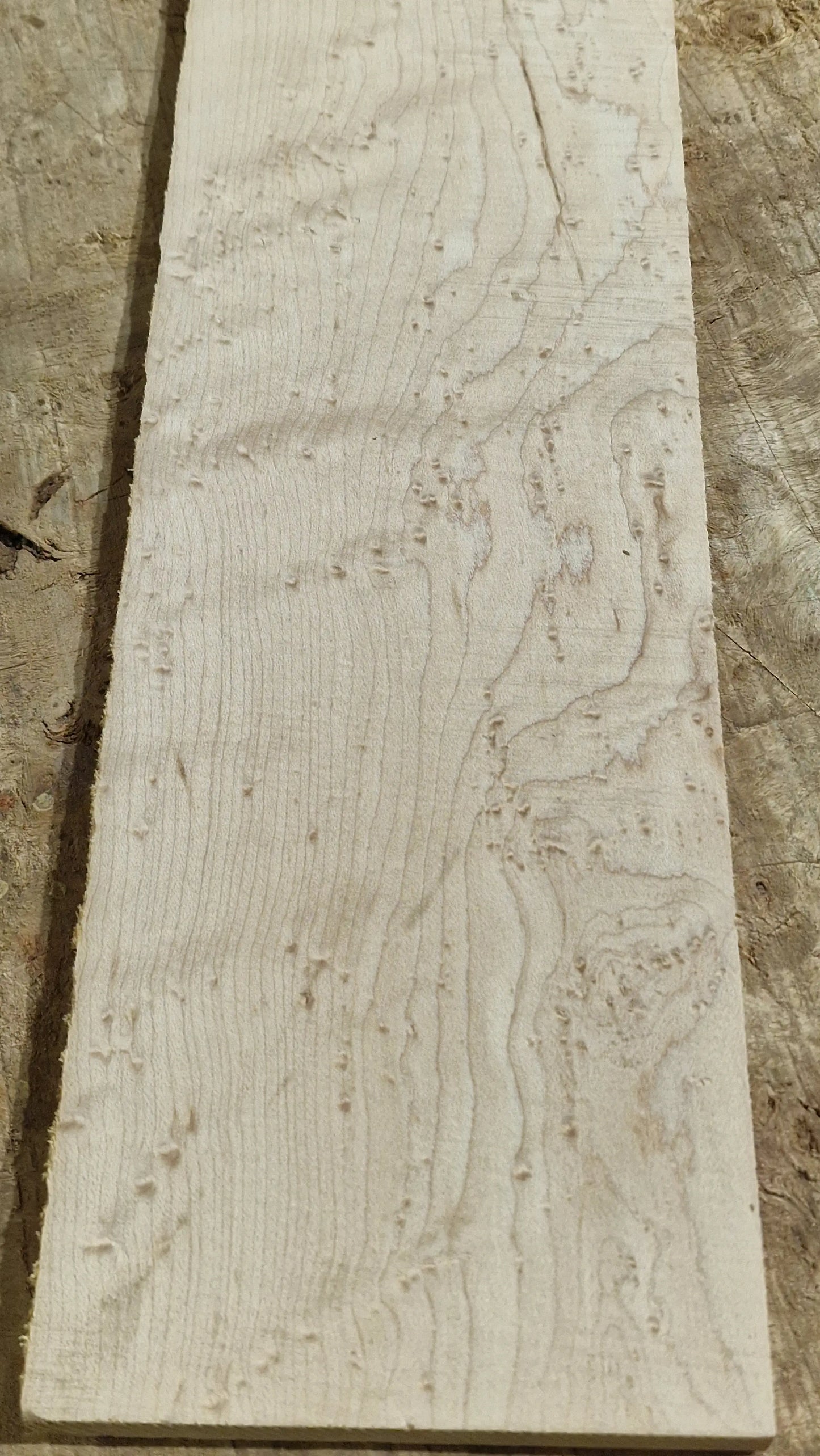 Griffbrett Birds Eye Maple 230226