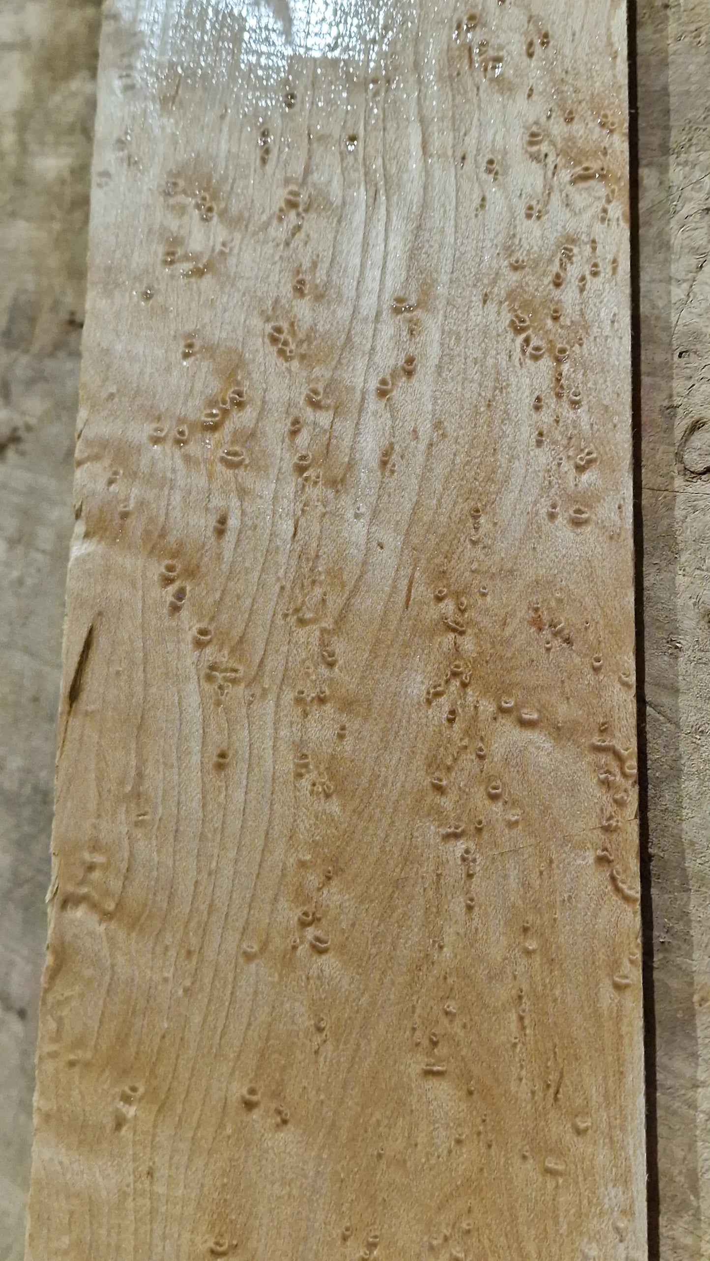 Griffbrett Birds Eye Maple 230226