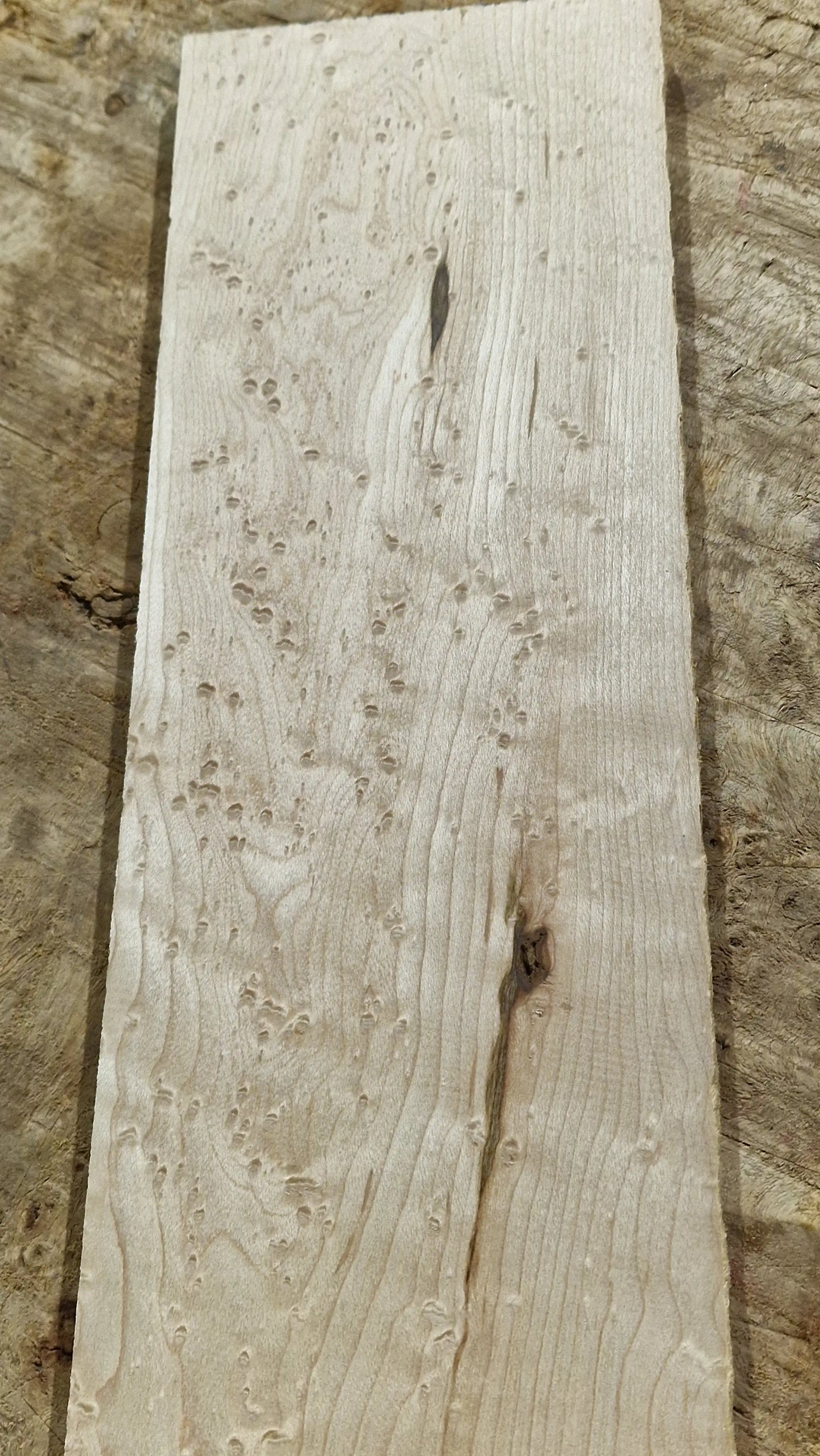 Griffbrett Birds Eye Maple 290424-3 GIT