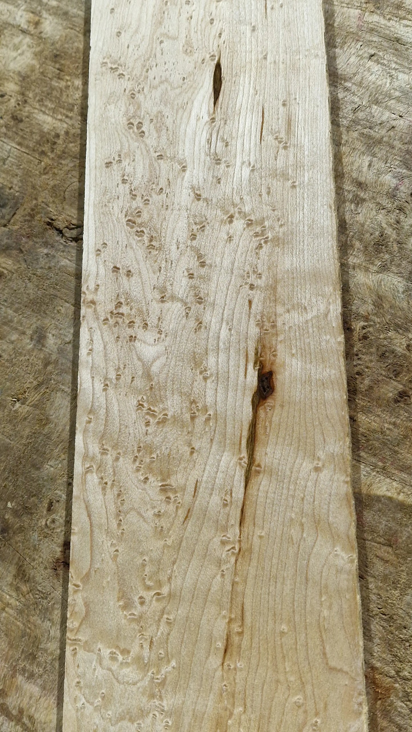 Griffbrett Birds Eye Maple 290424-3 GIT