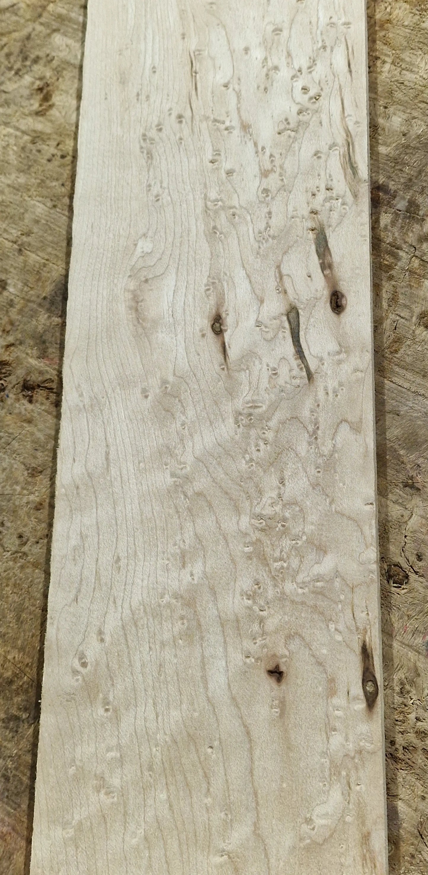 Griffbrett Birds Eye Maple 290424-3 GIT