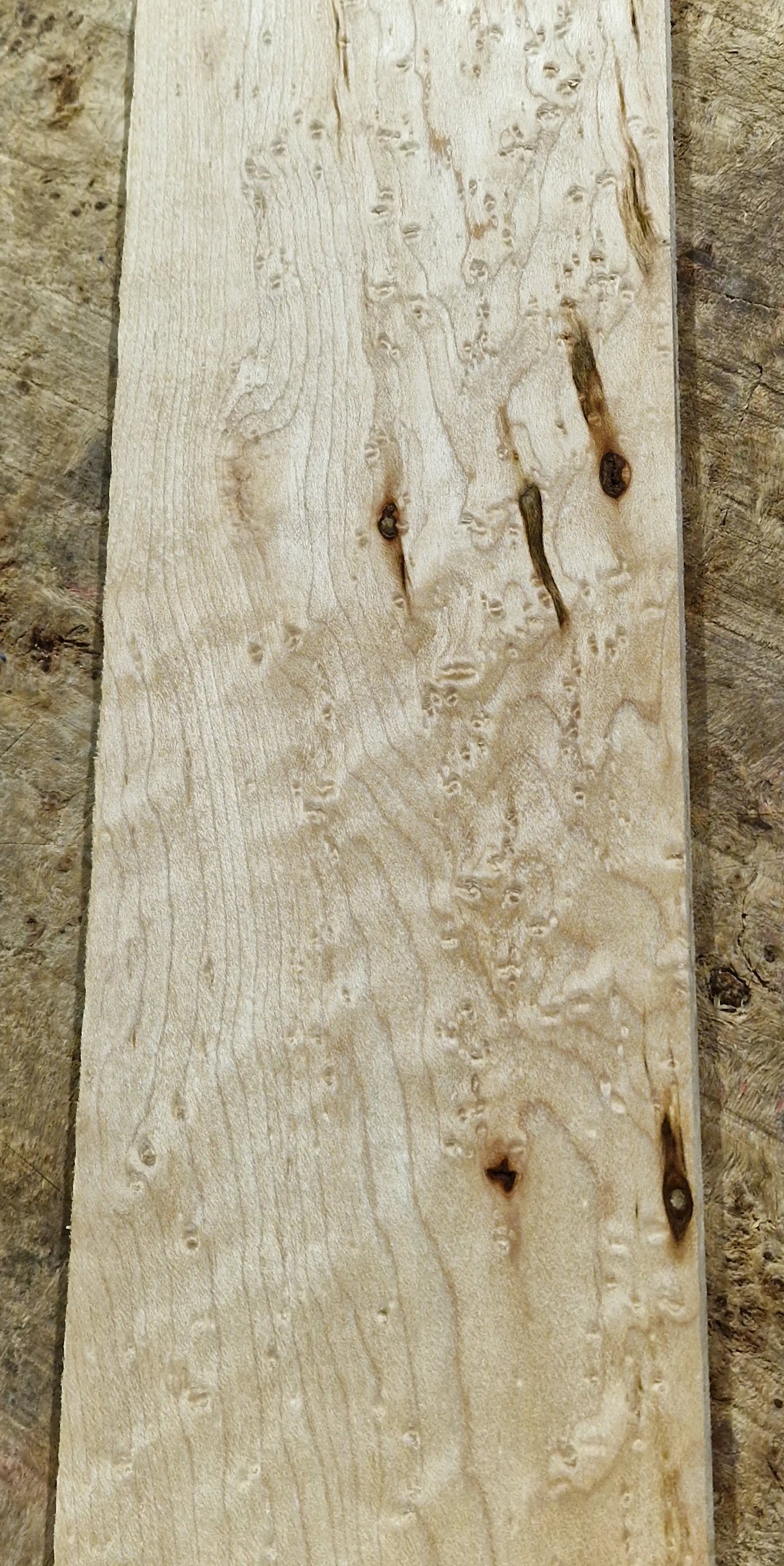 Griffbrett Birds Eye Maple 290424-3 GIT