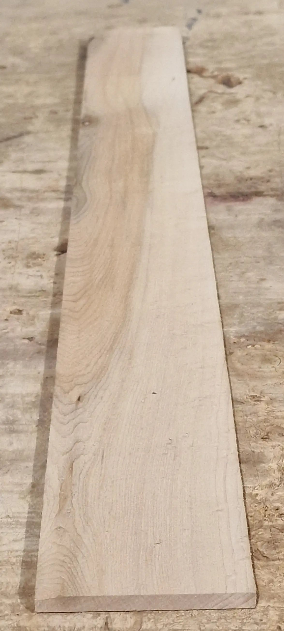 Griffbrett Birds Eye Maple Bass 2