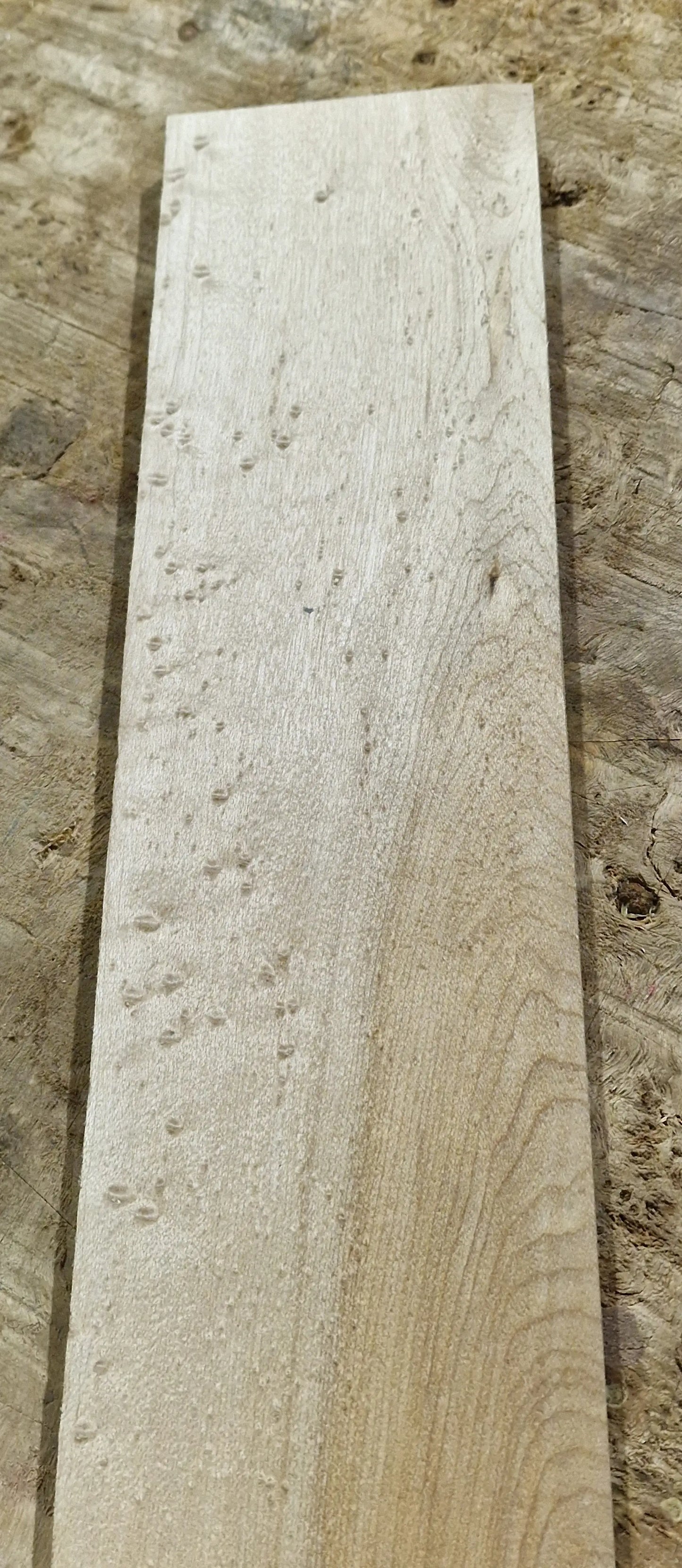 Griffbrett Birds Eye Maple Bass 2