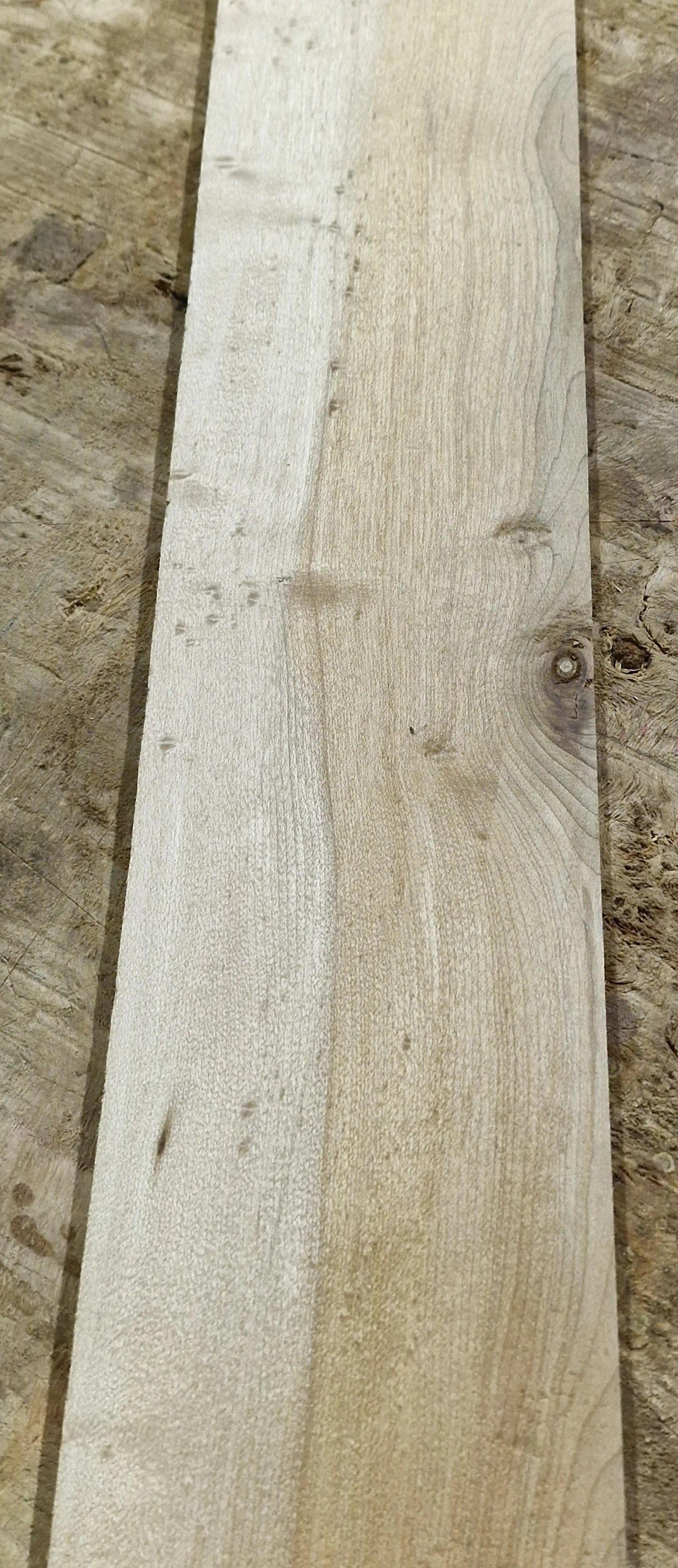Griffbrett Birds Eye Maple Bass 2