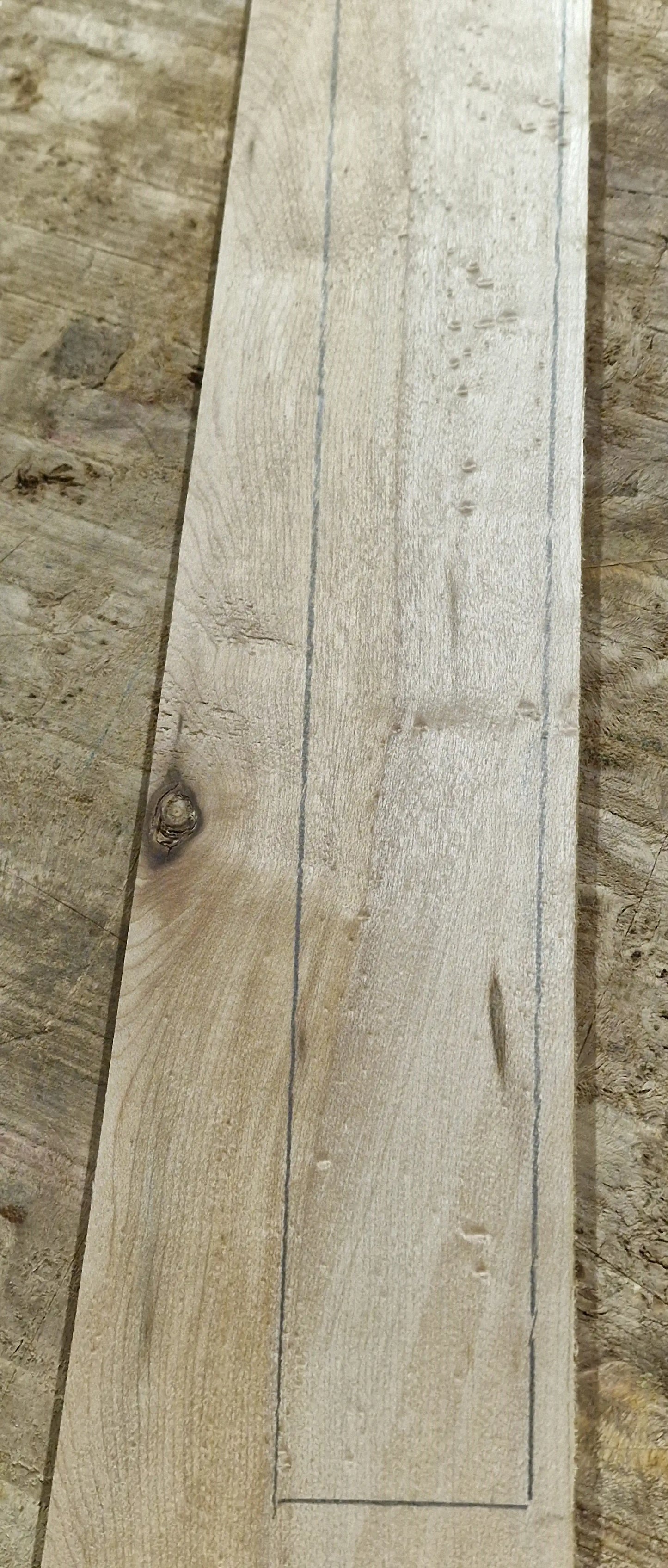 Griffbrett Birds Eye Maple Bass 2
