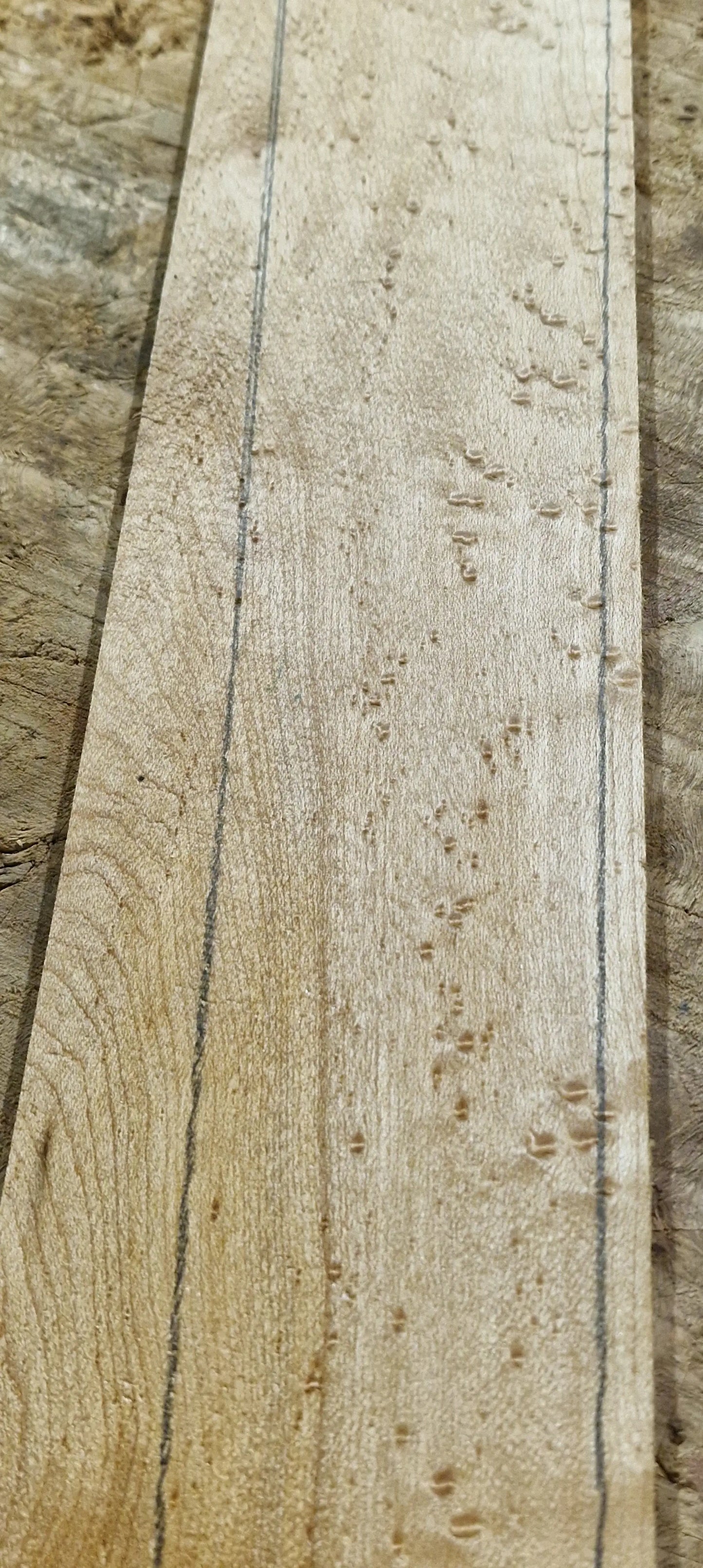 Griffbrett Birds Eye Maple Bass 2