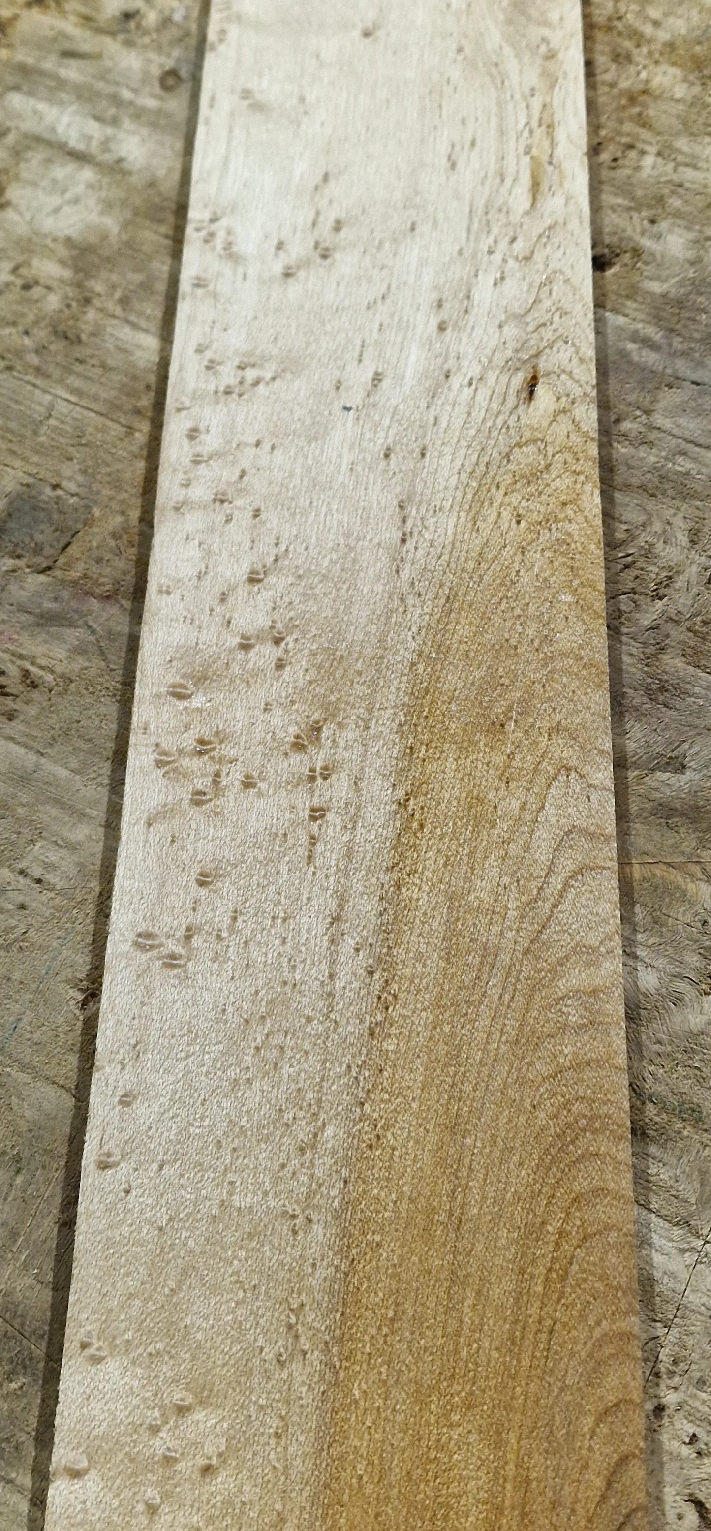 Griffbrett Birds Eye Maple Bass 2