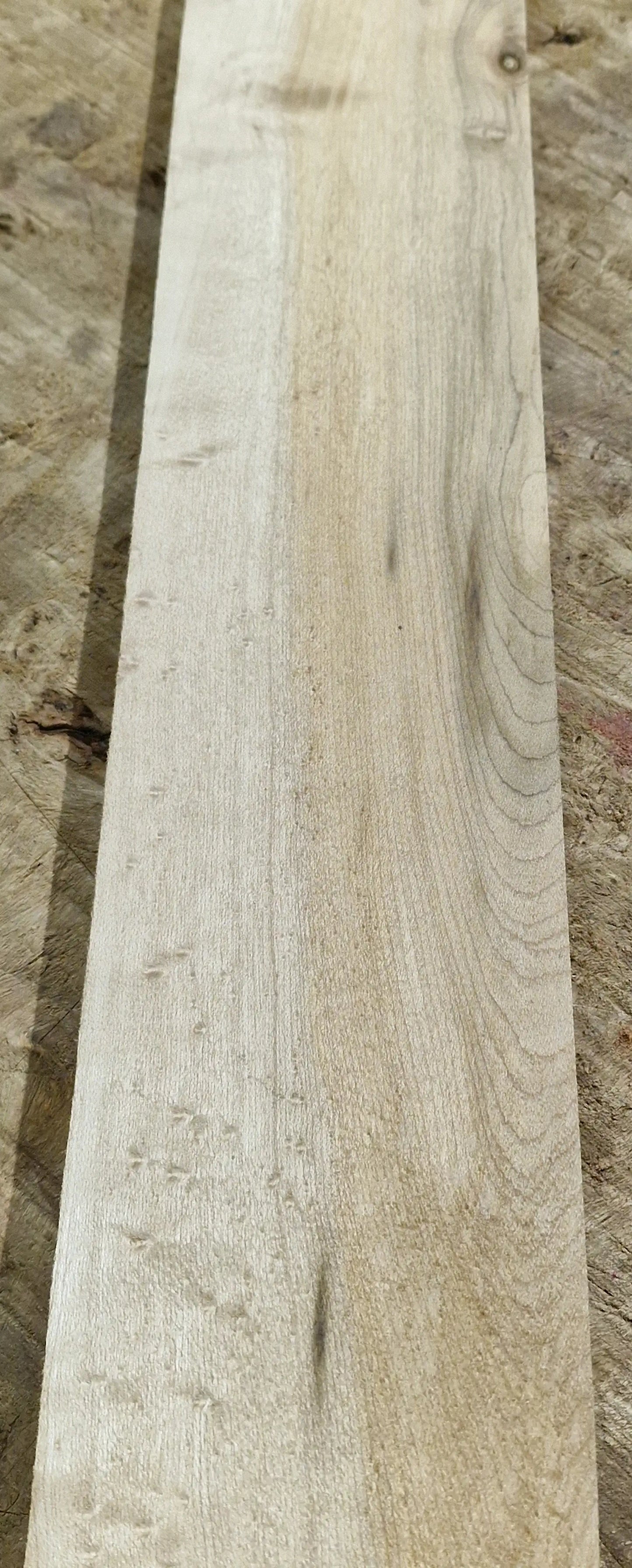 Griffbrett Birds Eye Maple Bass B-Ware