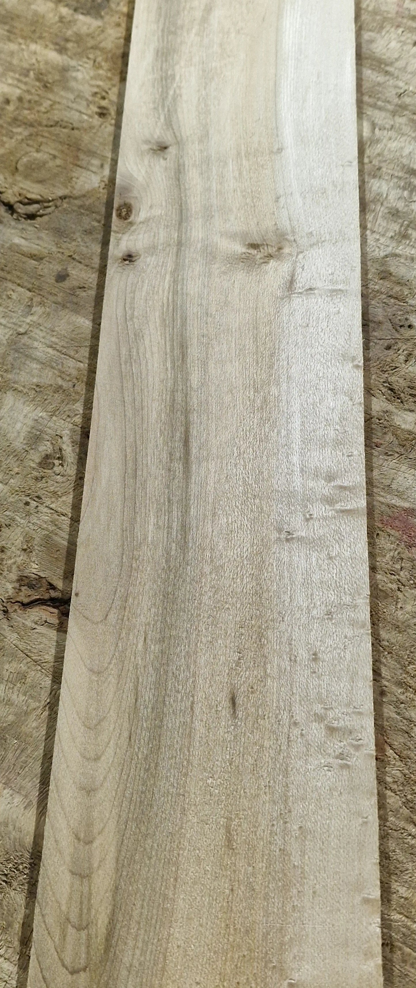 Griffbrett Birds Eye Maple Bass B-Ware