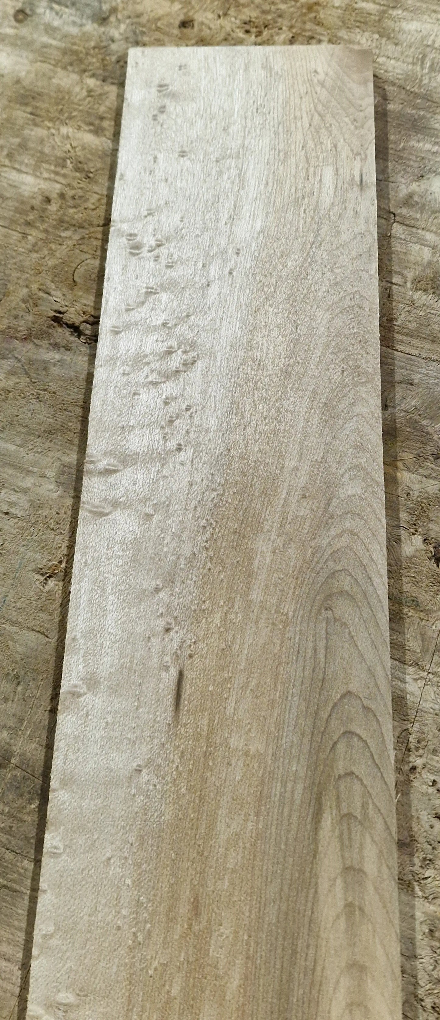 Griffbrett Birds Eye Maple Bass B-Ware