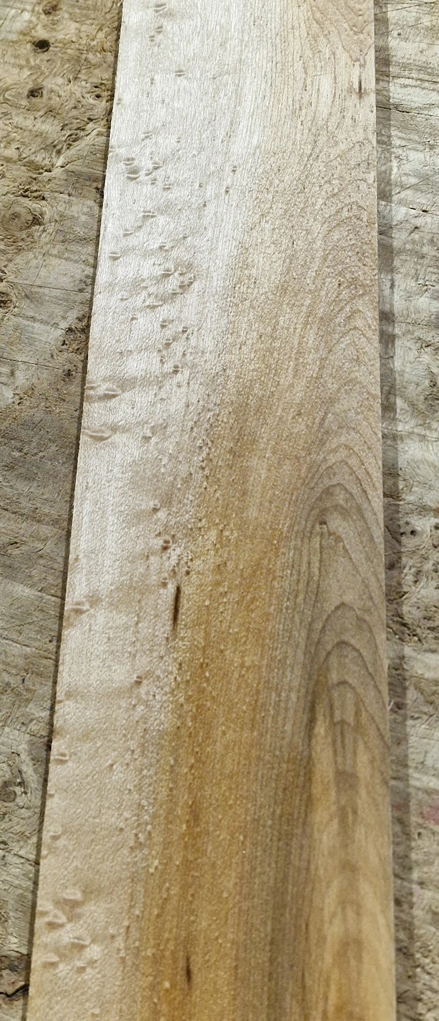 Griffbrett Birds Eye Maple Bass B-Ware