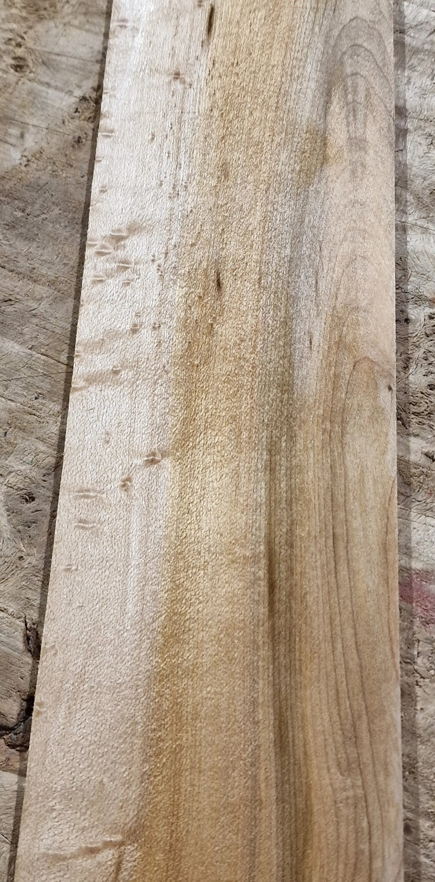 Griffbrett Birds Eye Maple Bass B-Ware