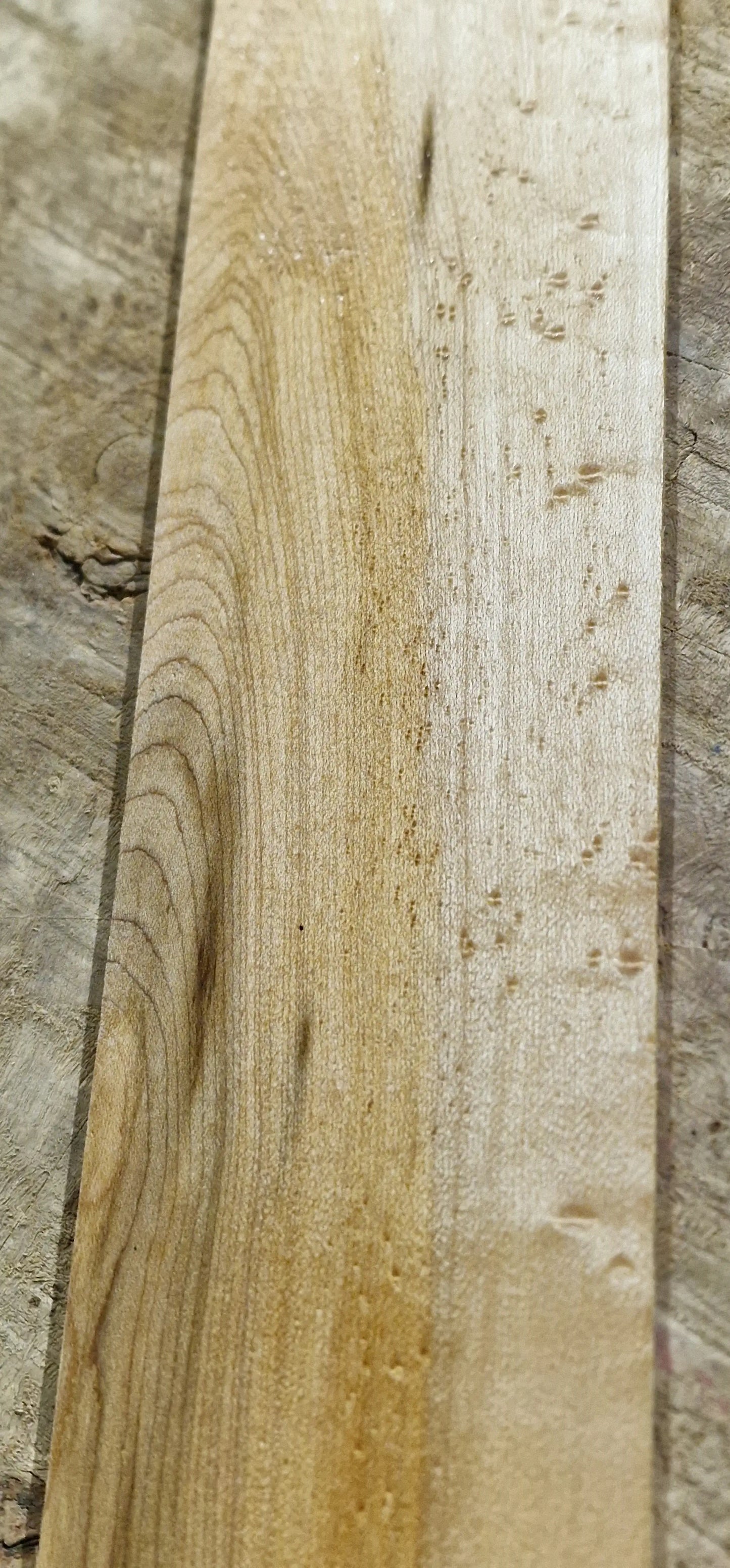 Griffbrett Birds Eye Maple Bass B-Ware
