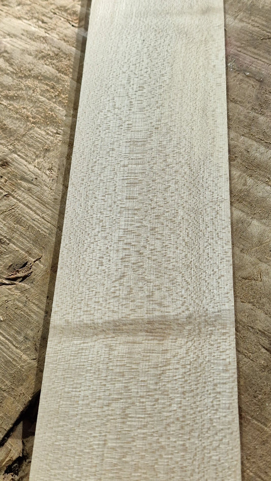 Griffbrett Ahorn 171125