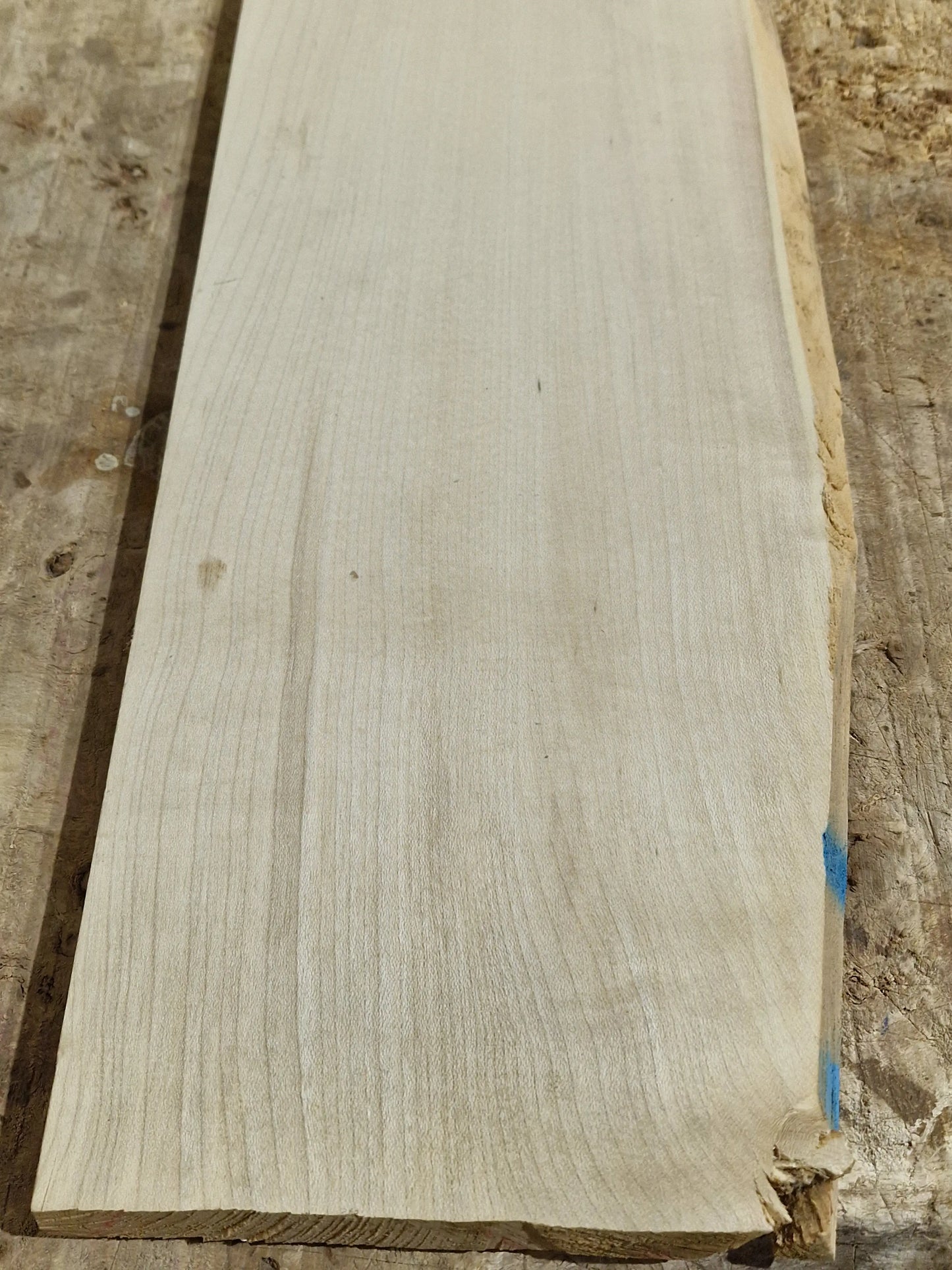 Griffbrett Ahorn 271025-1