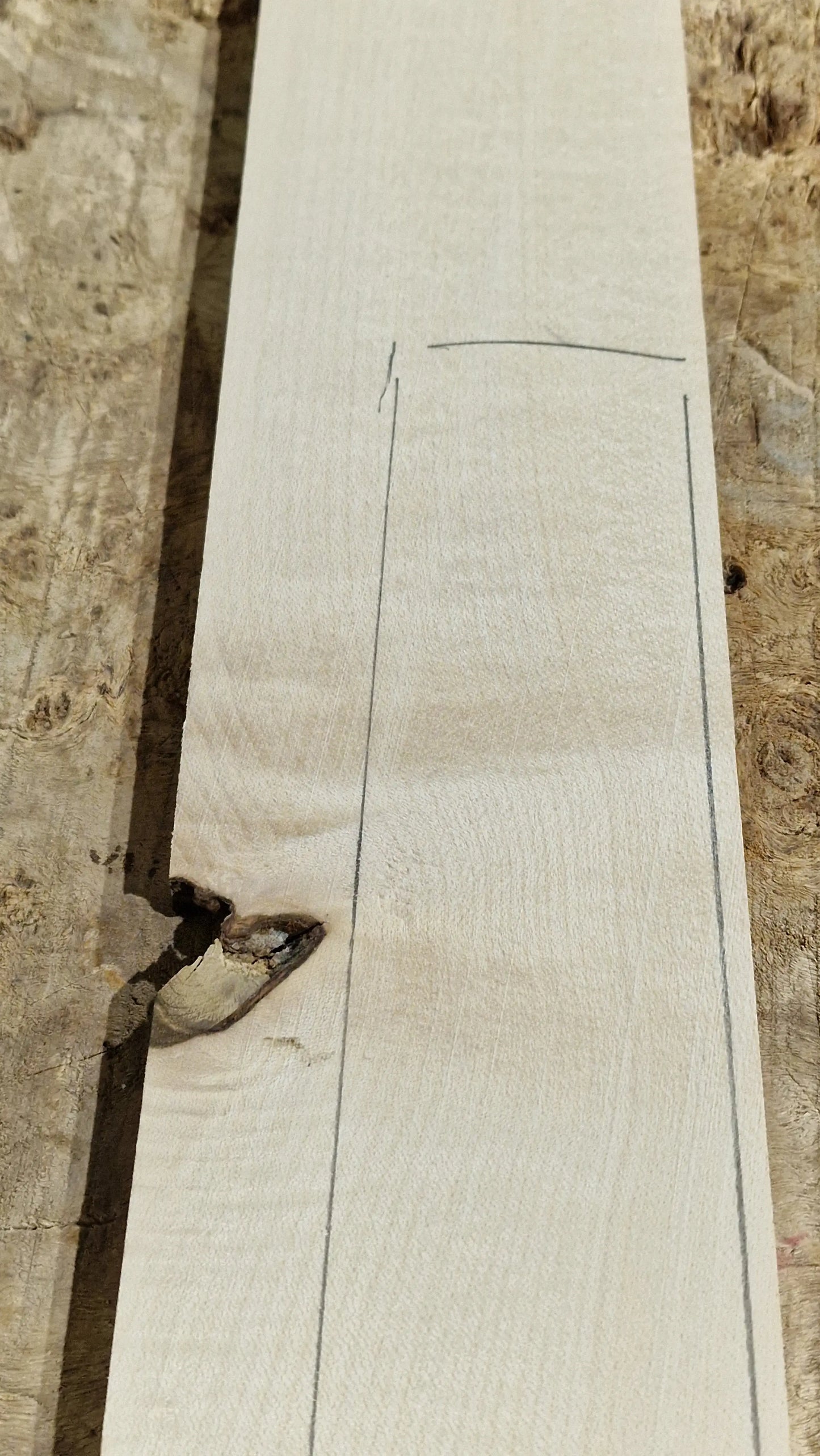 Griffbrett Ahorn 271025-2