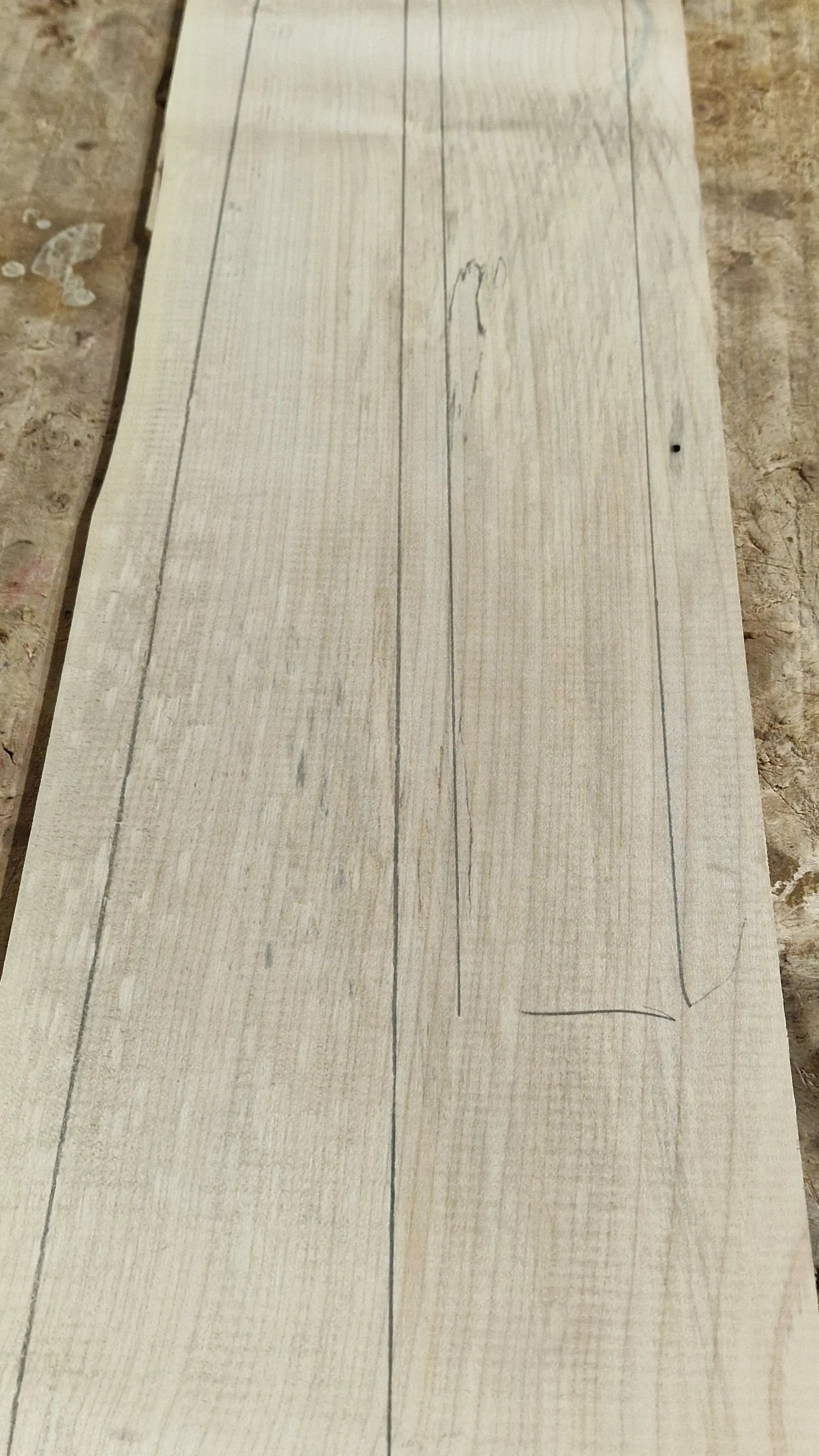 Griffbrett Ahorn 271025 B-Ware