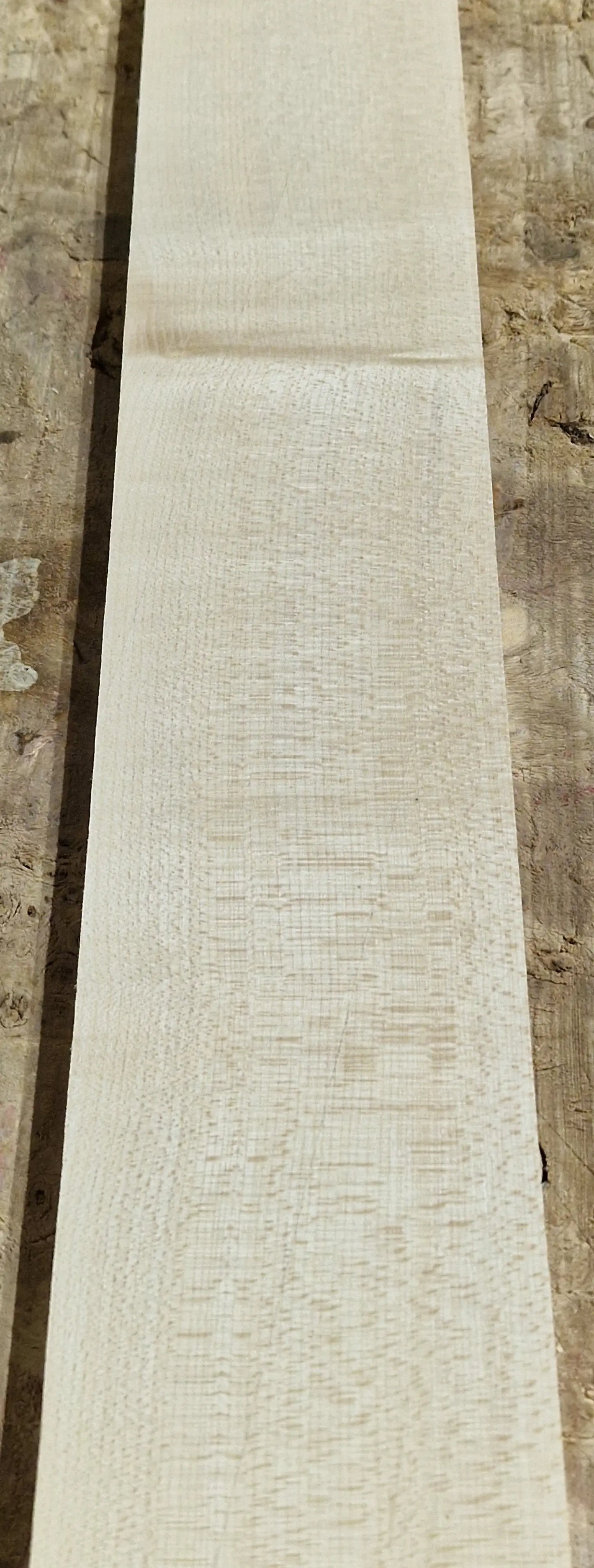 Griffbrett Ahorn 271025