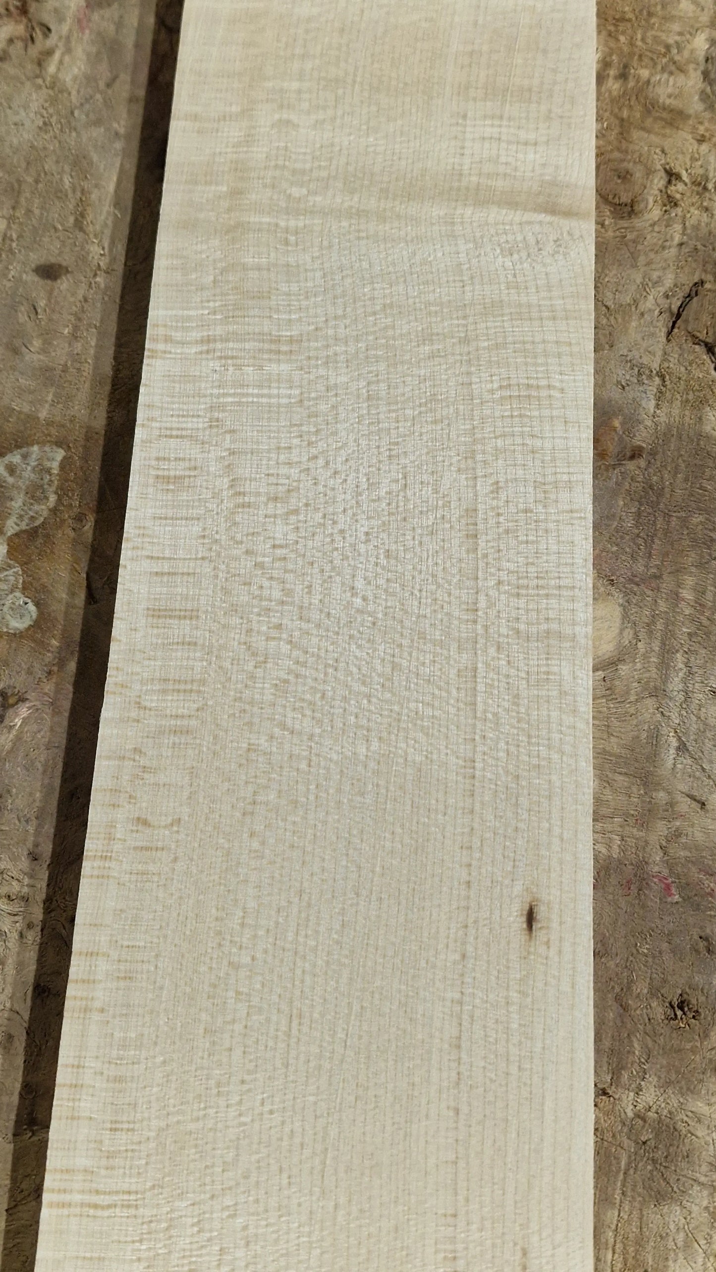 Griffbrett Ahorn 271025